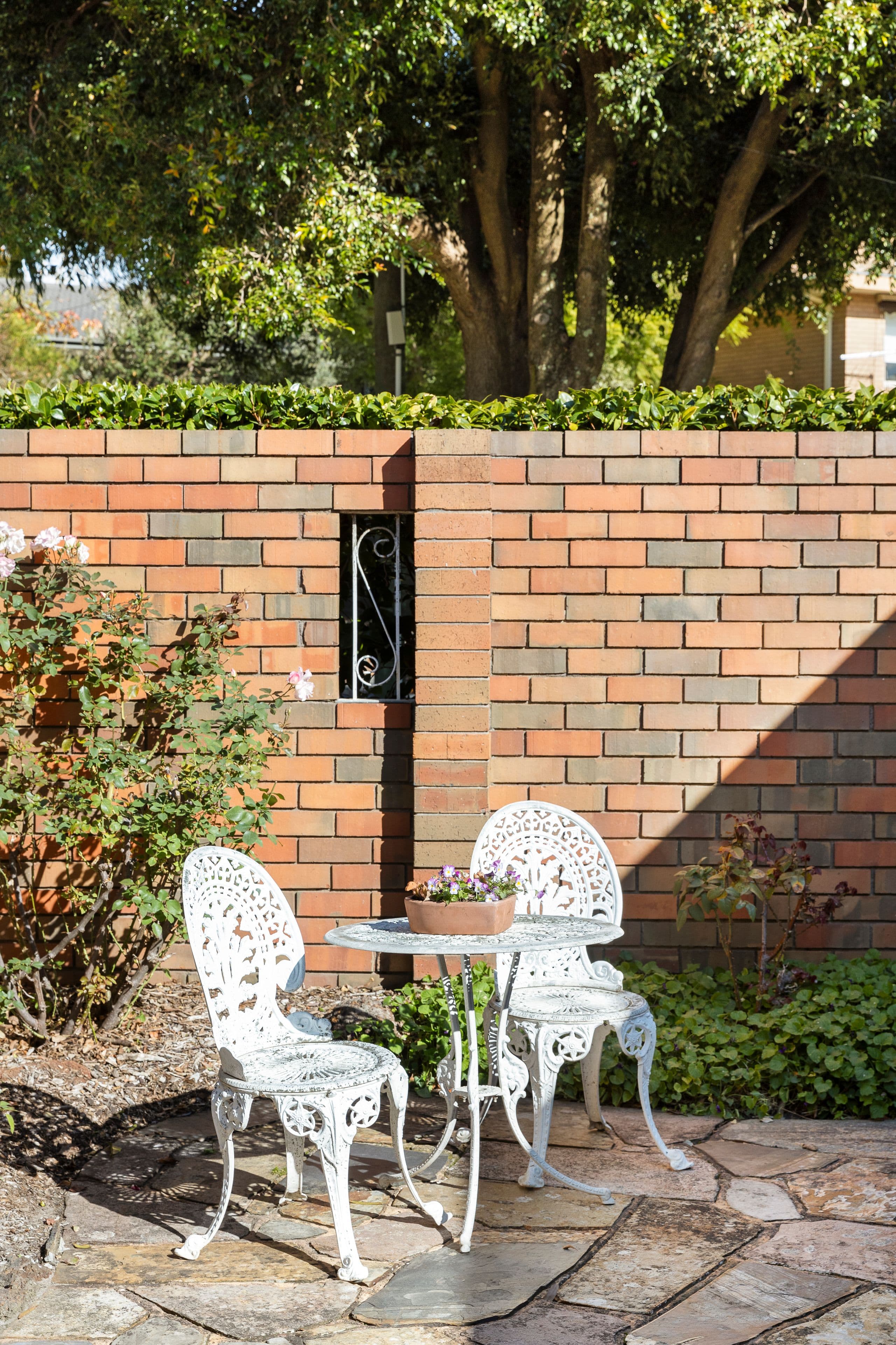 11 Lyons Avenue, Frankston South VIC 3199, Frankston South - Thumbnail 3