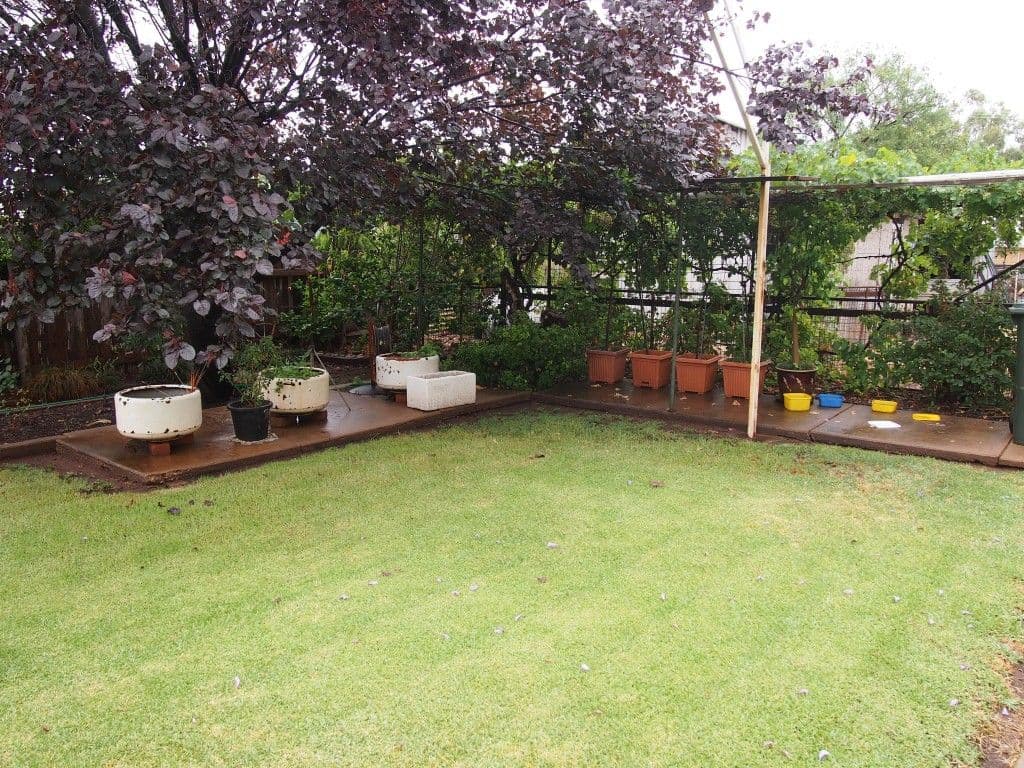 203 Bathurst Street, Condobolin - Thumbnail 3