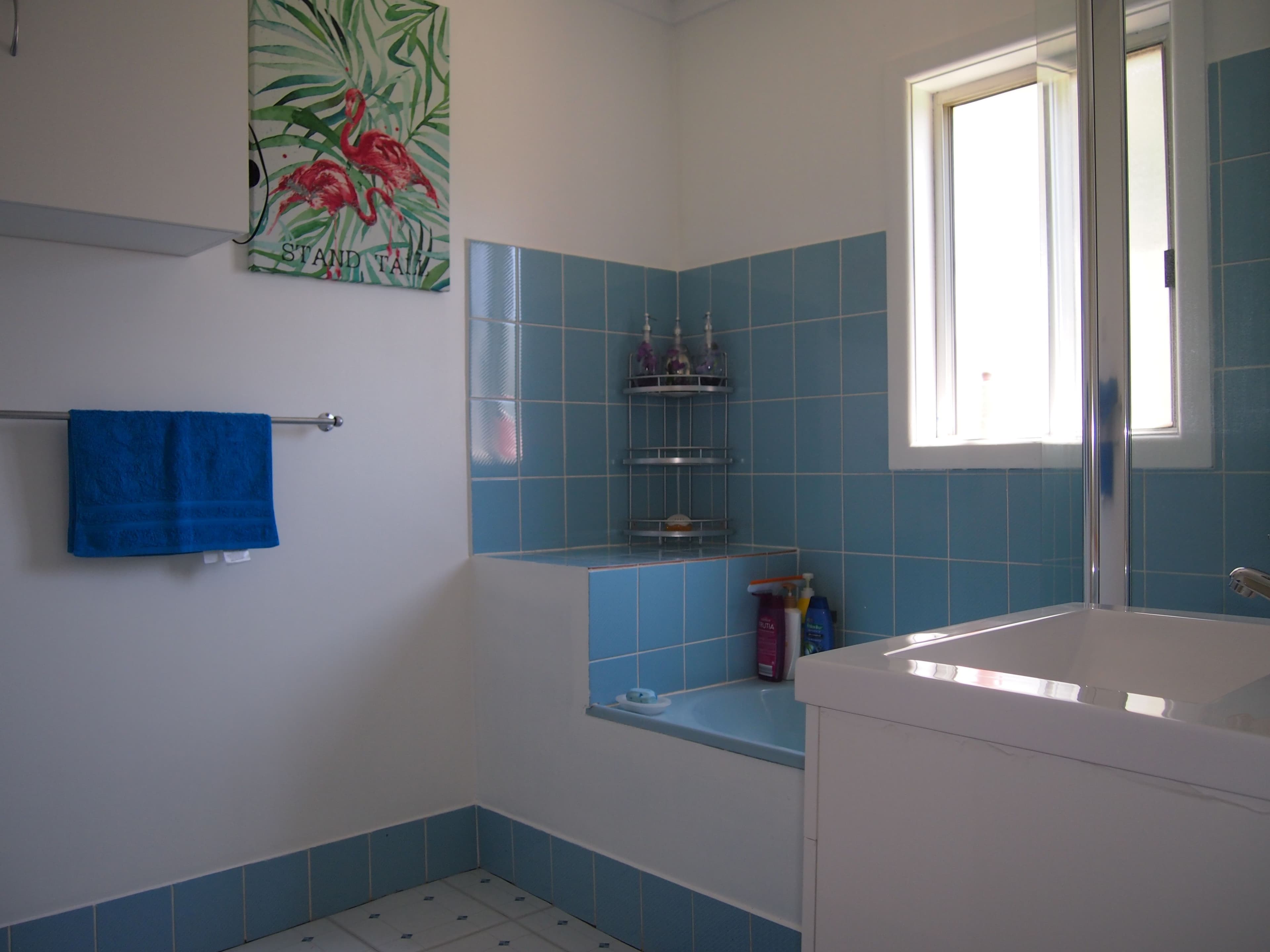 203 Bathurst Street, Condobolin - Thumbnail 4