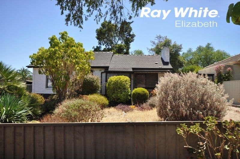 19 Palmer Road, Elizabeth Park SA 5113, Elizabeth Park - Thumbnail 2