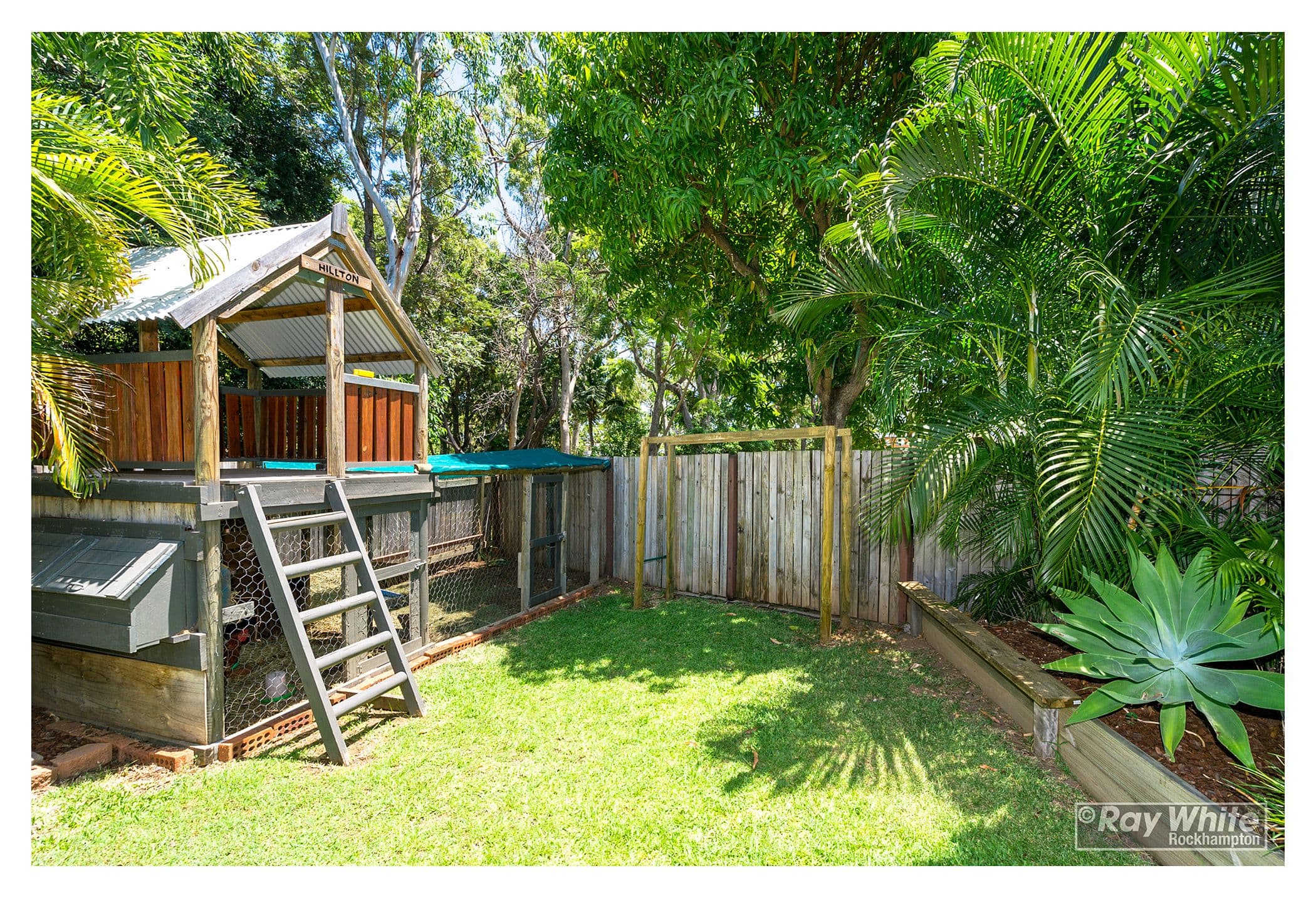 6 Ferricks Avenue, Frenchville QLD 4701, Frenchville - Thumbnail 6