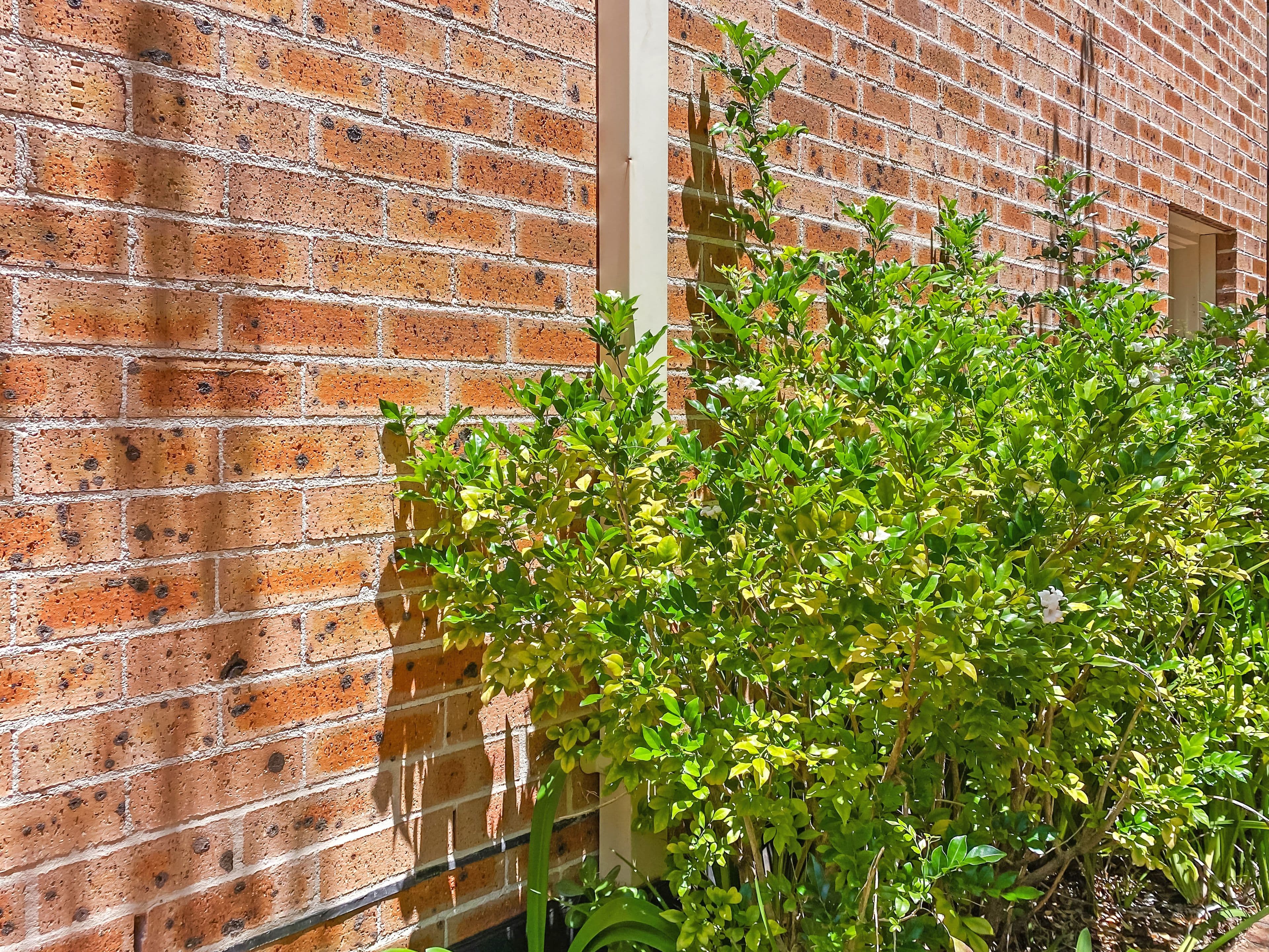 39 Hudson Street, Hurstville NSW 2220, Hurstville - Thumbnail 2