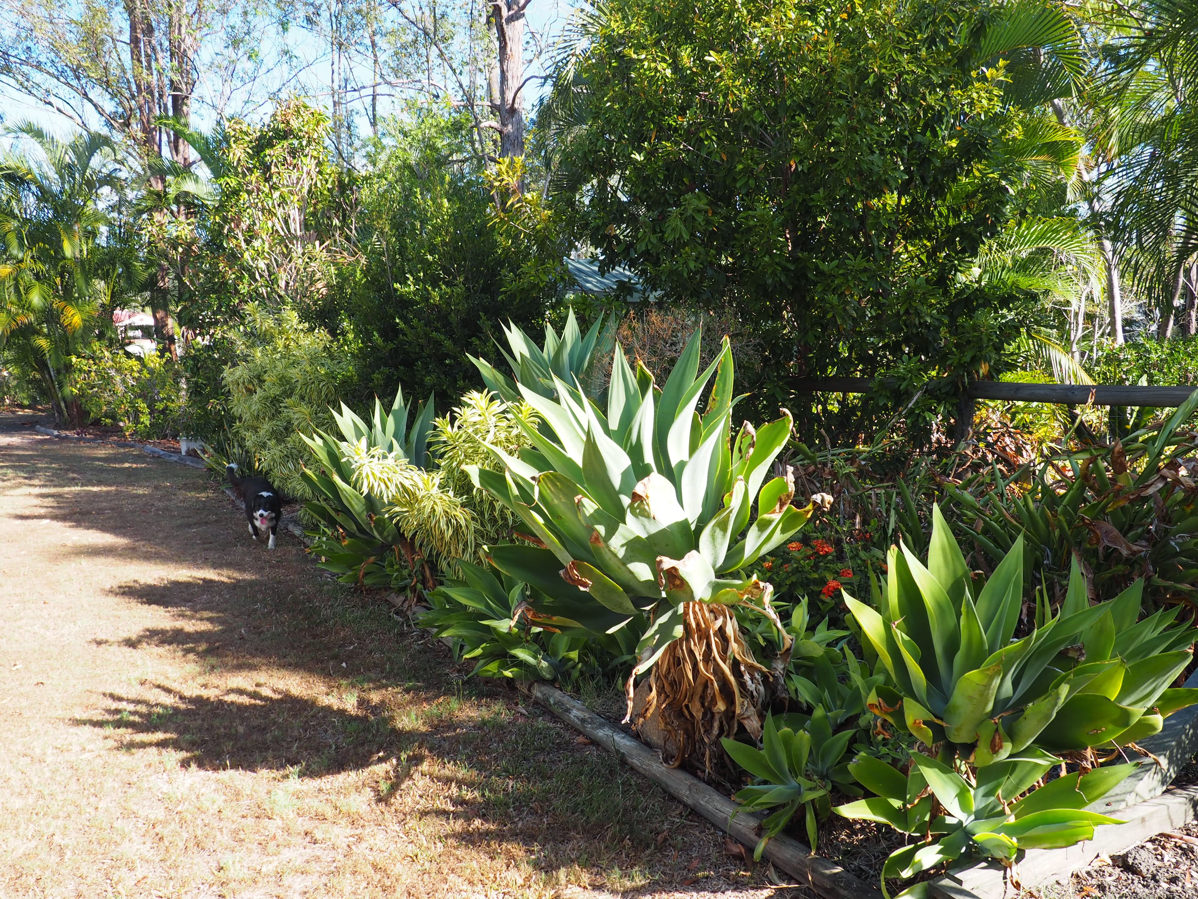 21 Knight Street, Maryborough West QLD 4650, Maryborough West - Thumbnail 7