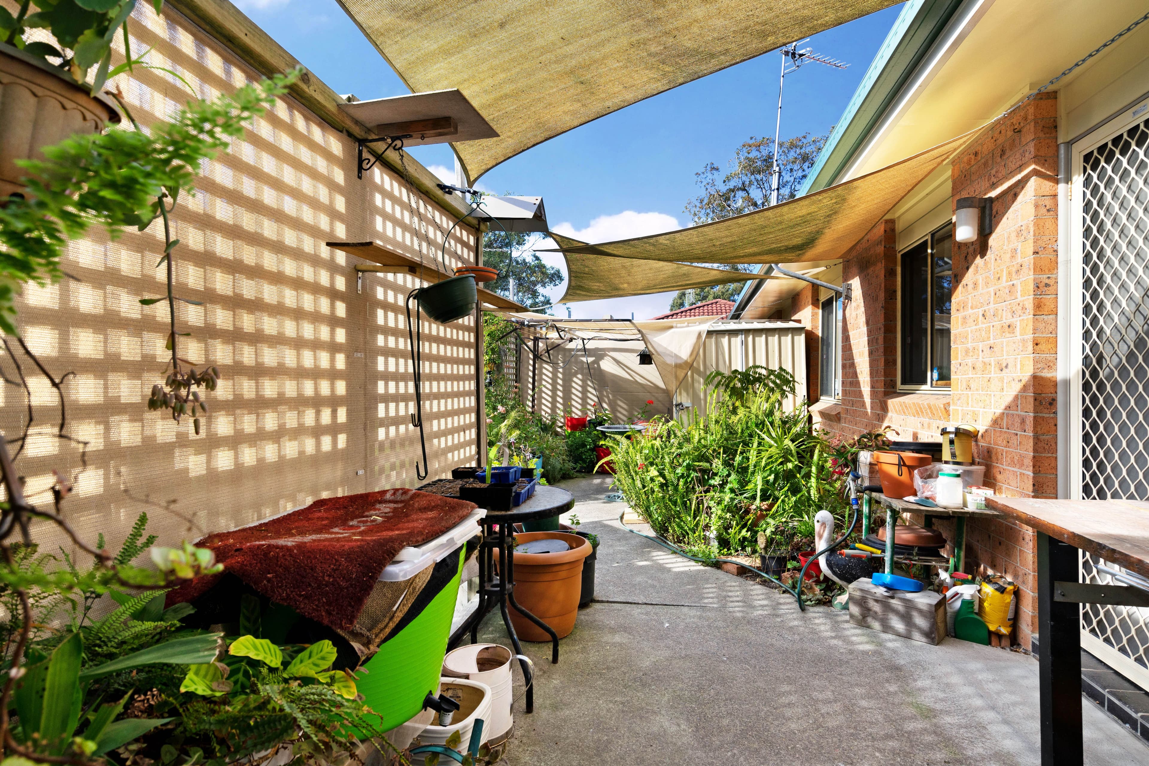 87 Chelmsford Drive, Metford - Thumbnail 6
