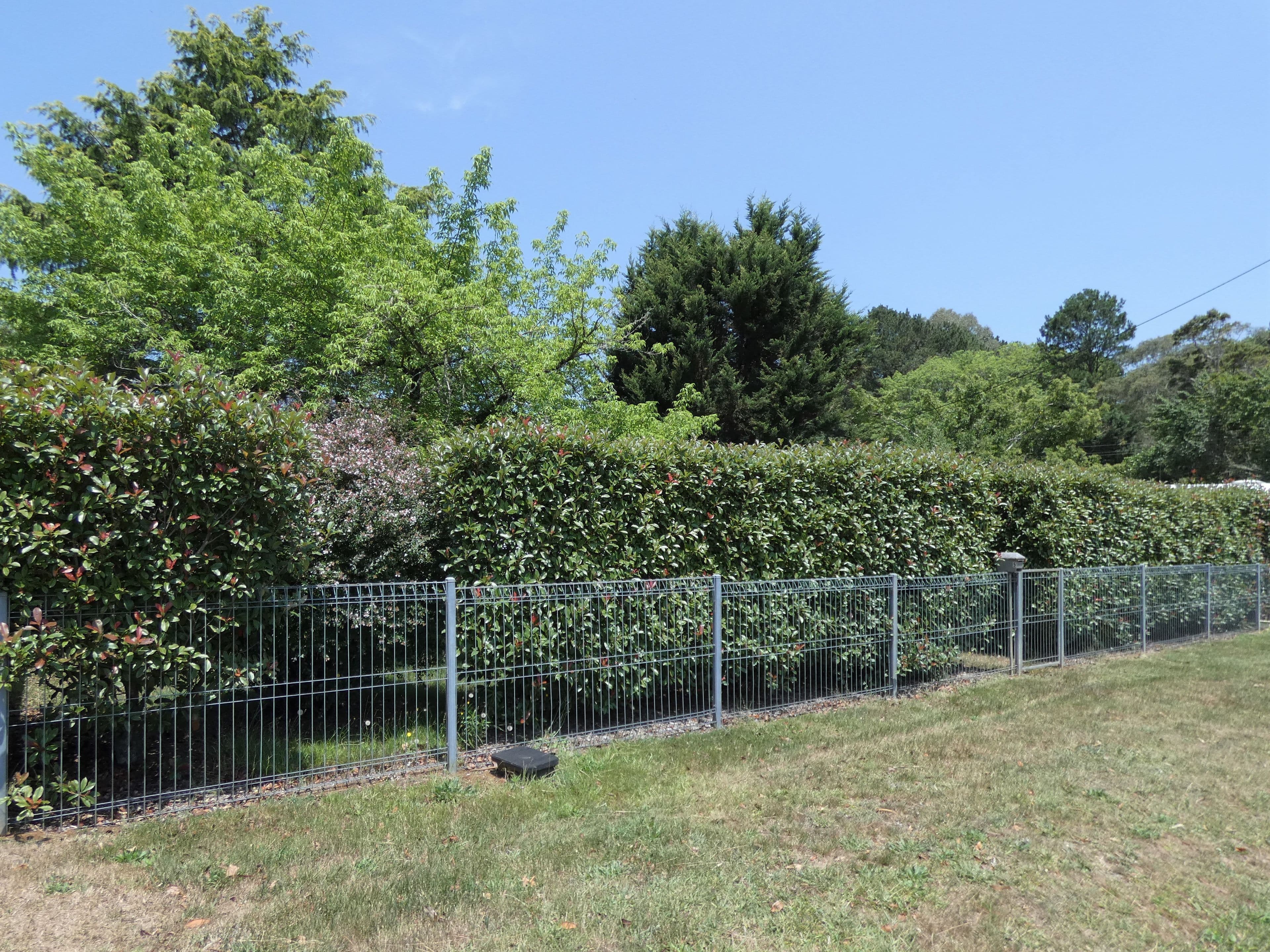 5 Bielsdown Street, Dorrigo - Thumbnail 4