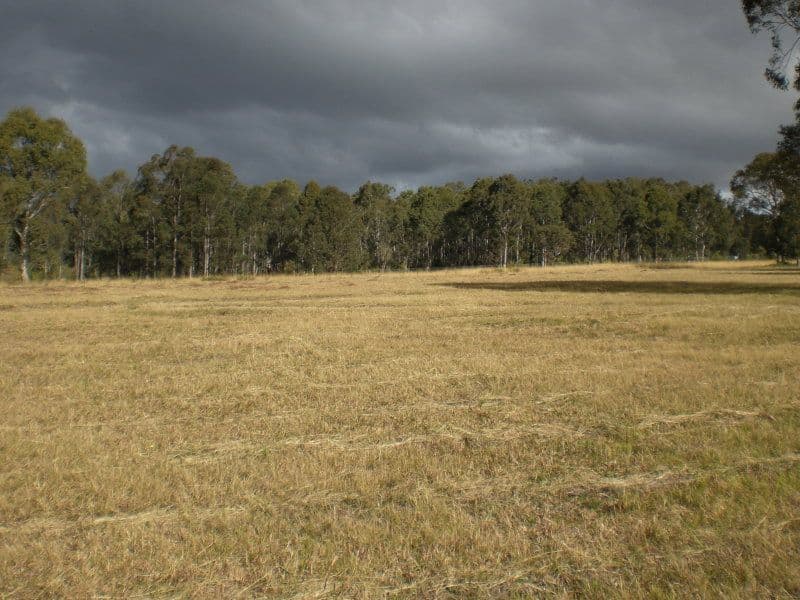 Lot 133 Nutans Cresent, WORRIGEE NSW 2540, Worrigee - Image 1