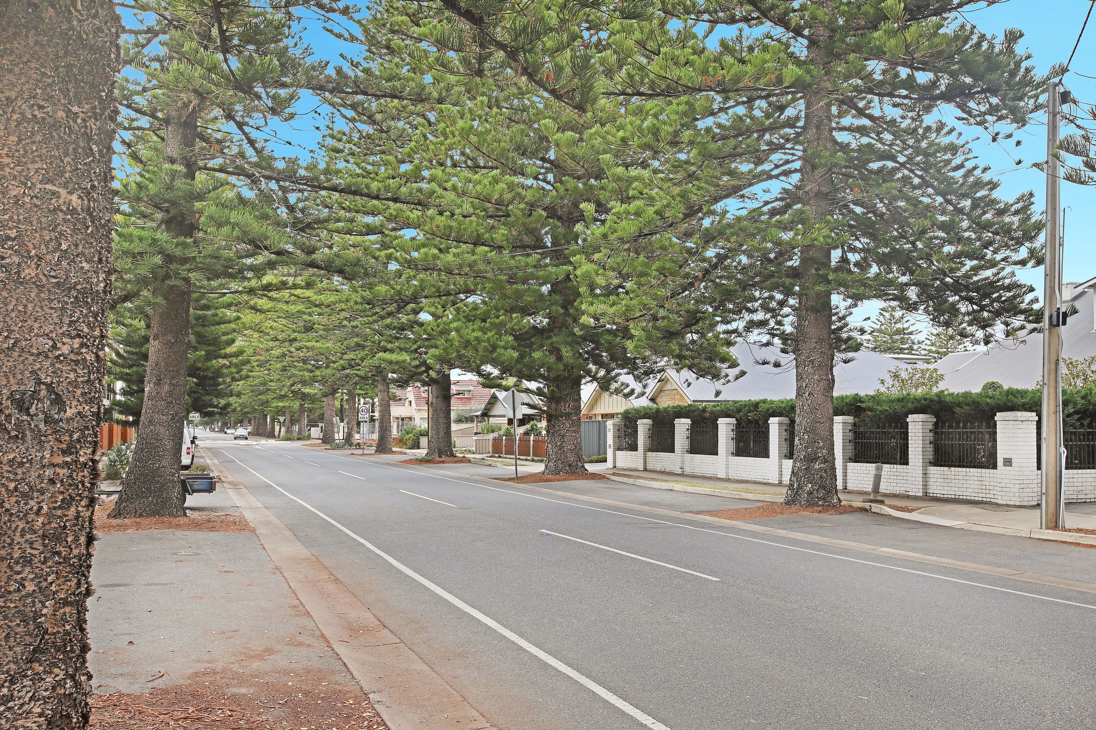 28 East Terrace, Henley Beach SA 5022, Henley Beach - Thumbnail 8