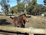Lot 54 Redrup Road, BALDIVIS WA 6171, Baldivis - Image 1
