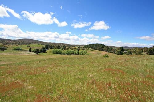 Alchin Lane Bungendore Road, BYWONG NSW 2621, Bywong - Thumbnail 2