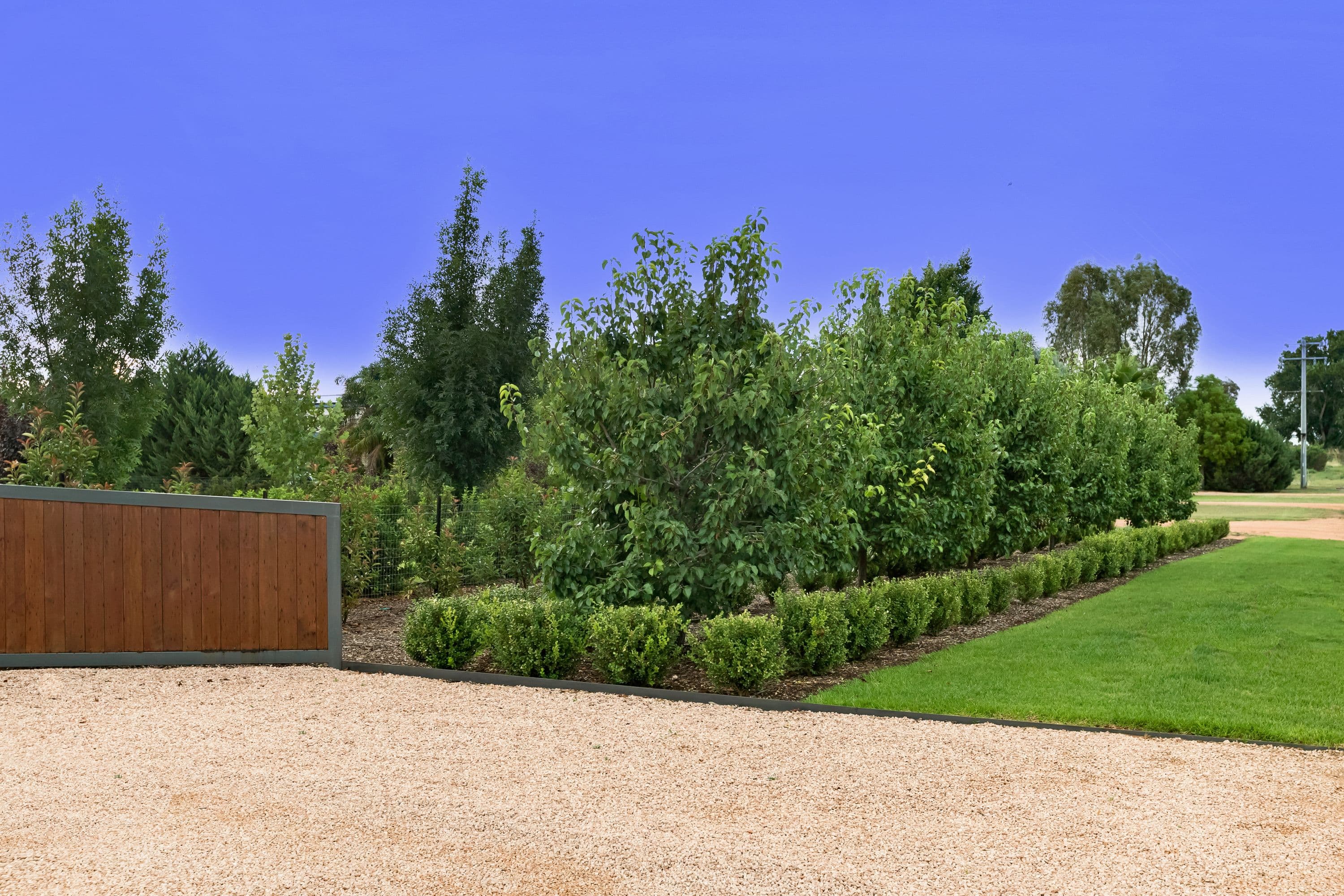 19 Creaton Lane, Irymple VIC 3498, Irymple - Thumbnail 4