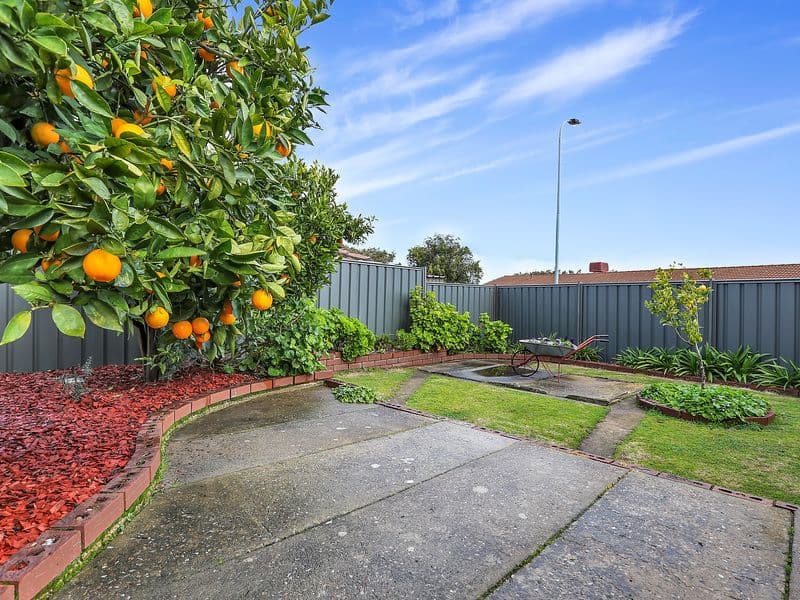 1 Swallow Avenue, Modbury Heights SA 5092, Modbury Heights - Thumbnail 4