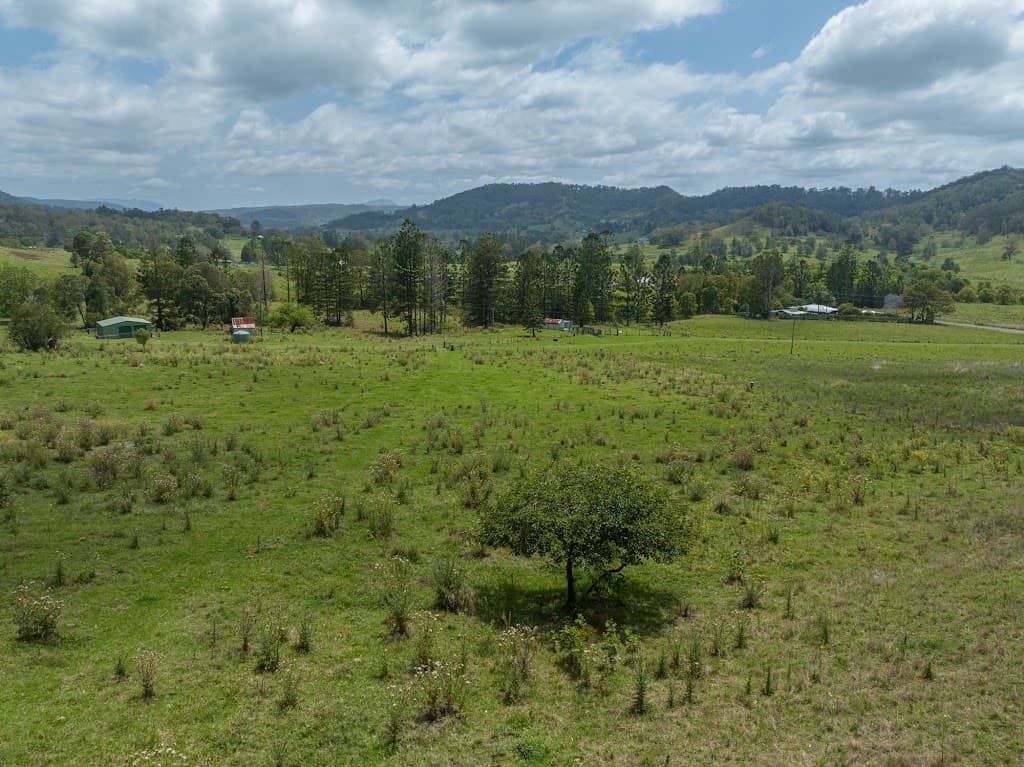 78 Stead Road, Jiggi, NSW, 2480, Jiggi - Thumbnail 3