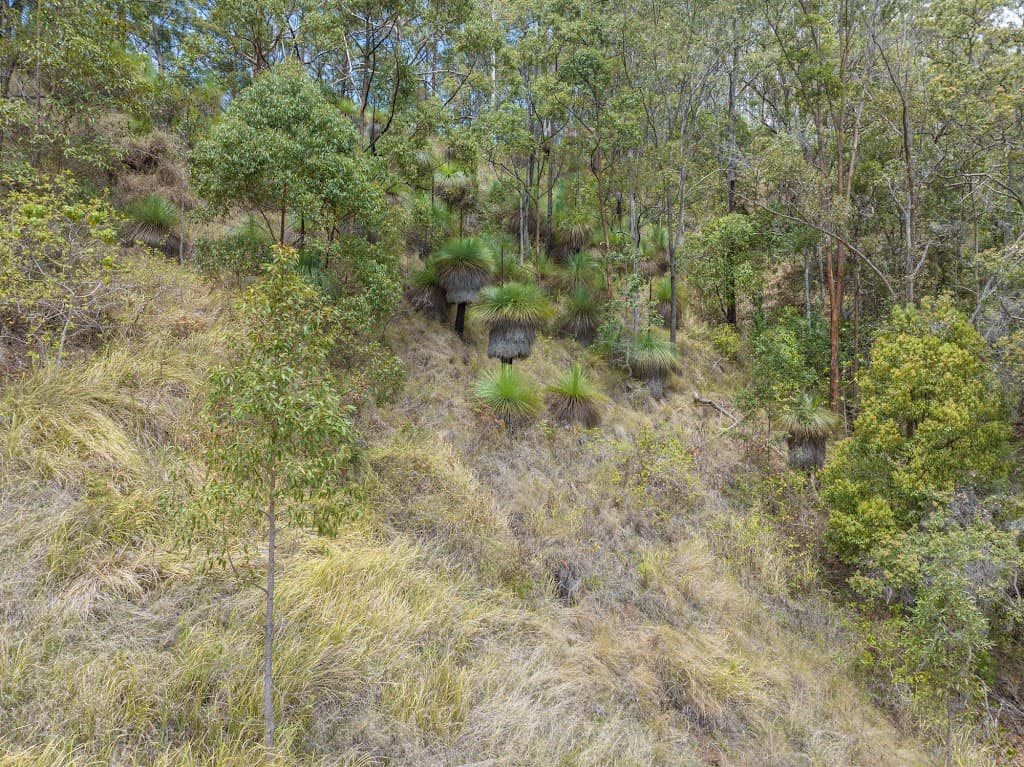 78 Stead Road, Jiggi, NSW, 2480, Jiggi - Thumbnail 4