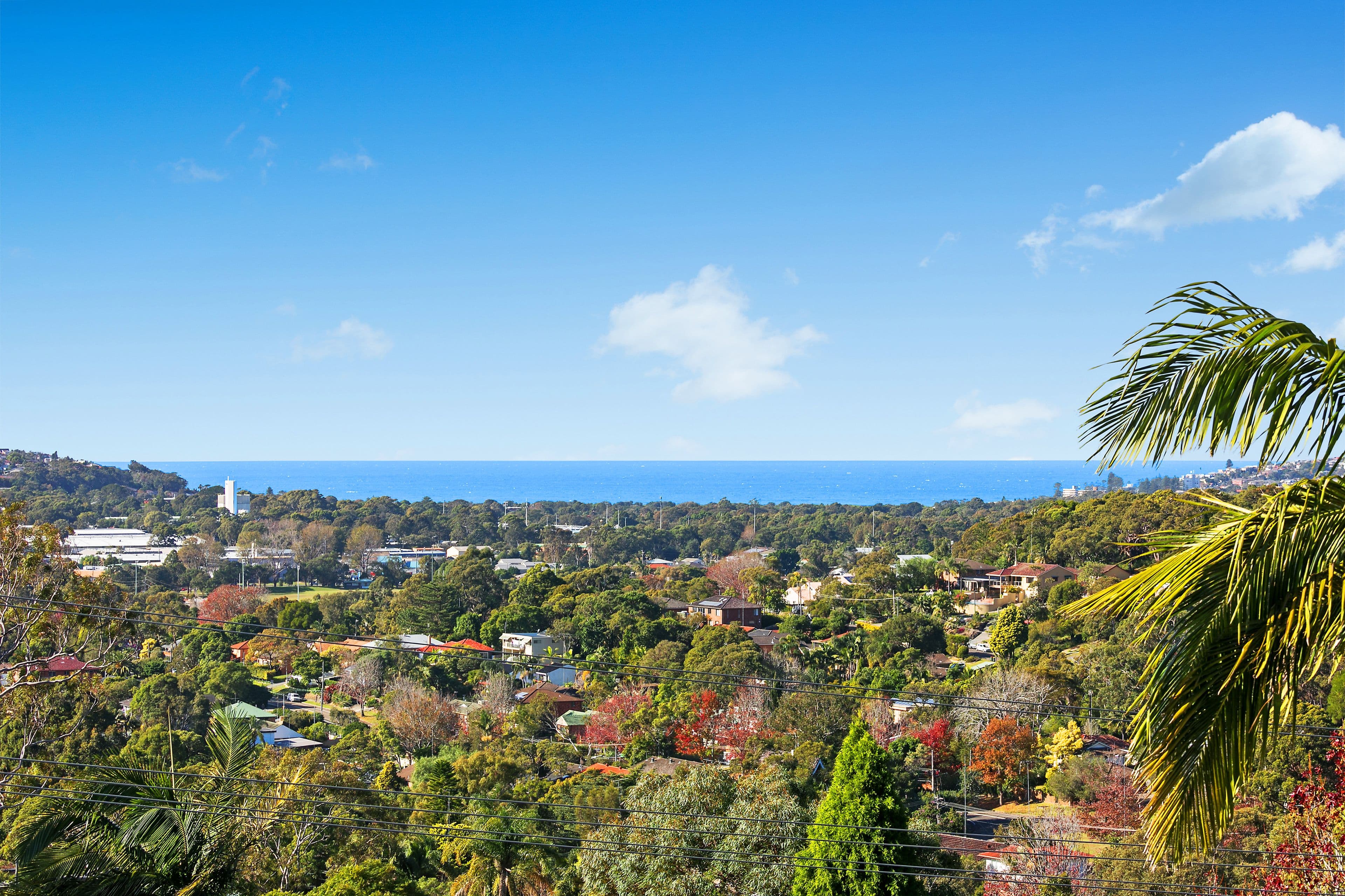 37 Woodward Street, Cromer NSW 2099, Cromer - Image 1