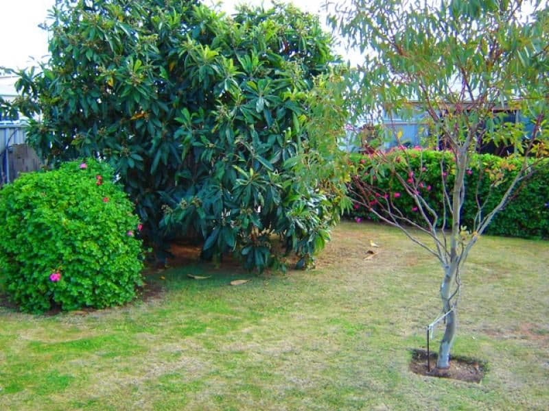 35 Joyce Street, Murray Bridge SA 5253, Murray Bridge - Thumbnail 7