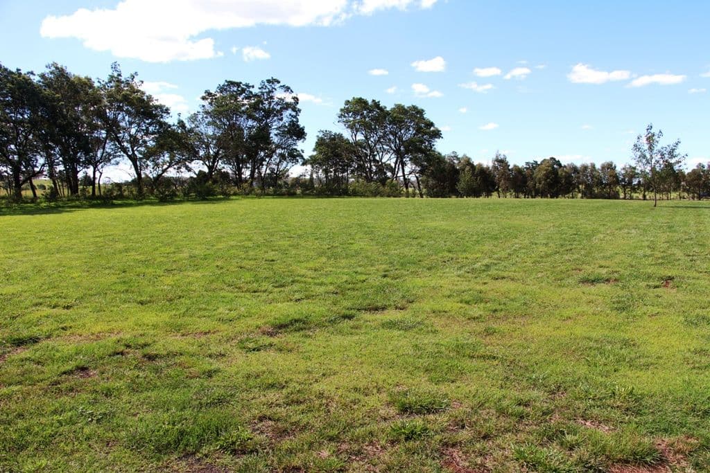 36 Lakeview Road, Guyra NSW 2365, Guyra - Thumbnail 3