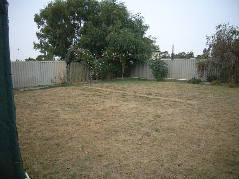 47 Macpherson Street, CARNAMAH WA 6517, Carnamah - Thumbnail 5