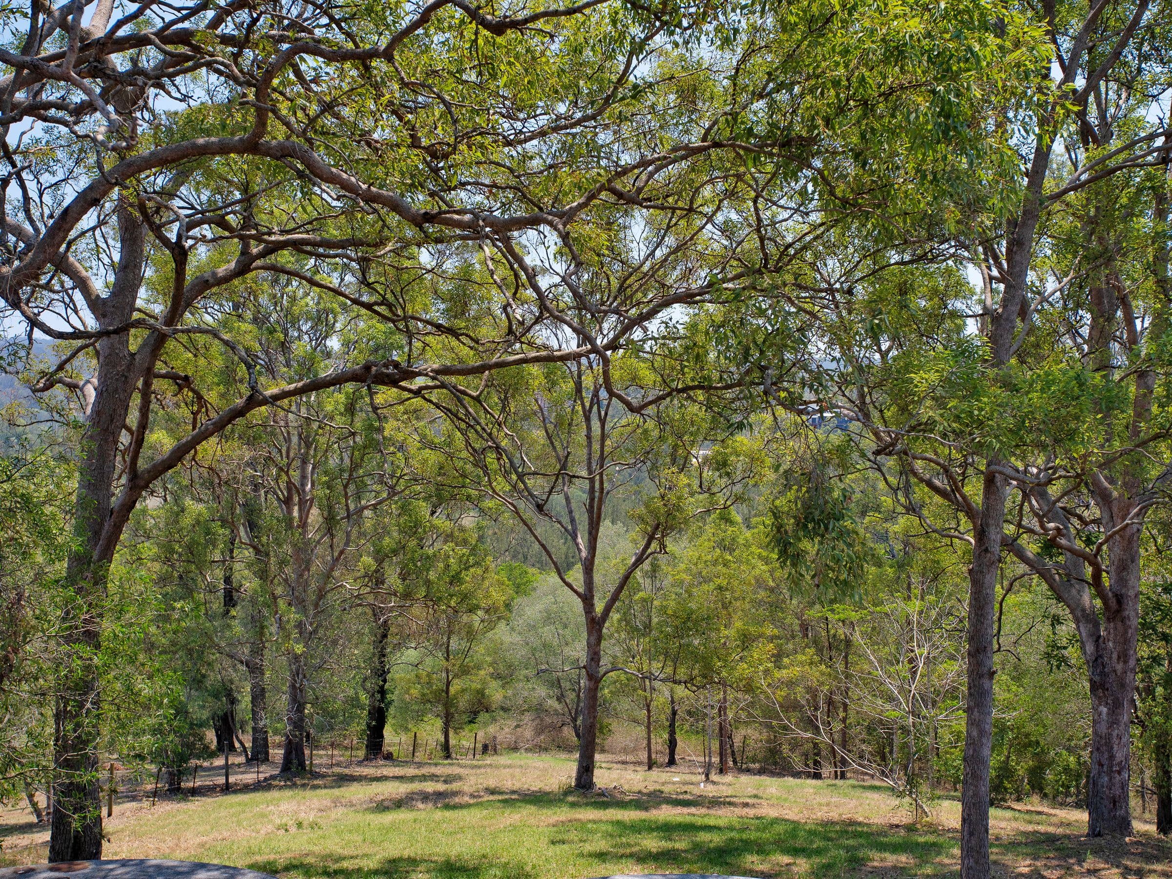22 Willem Drive, Draper QLD 4520, Draper - Thumbnail 2