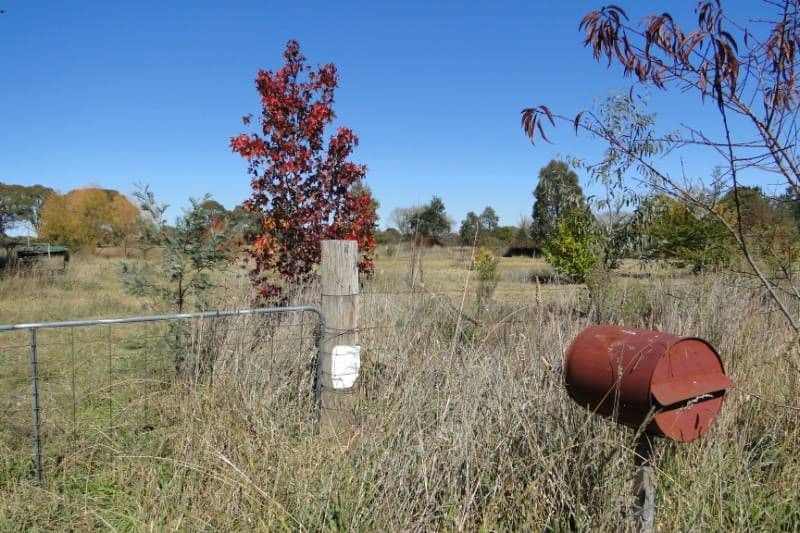 Lot 2 Black Mountain Road, BLACK MOUNTAIN NSW 2365, Black Mountain - Thumbnail 2