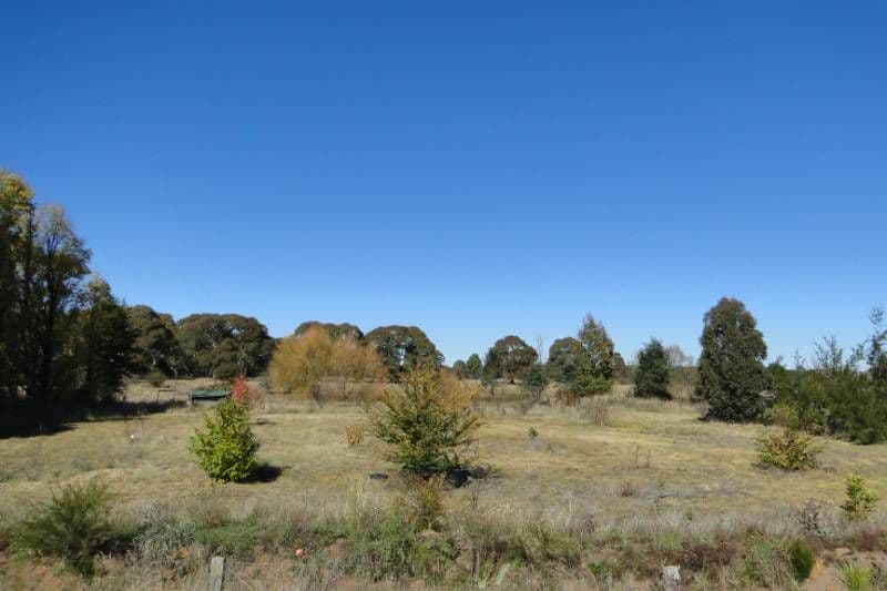 Lot 2 Black Mountain Road, BLACK MOUNTAIN NSW 2365, Black Mountain - Thumbnail 3