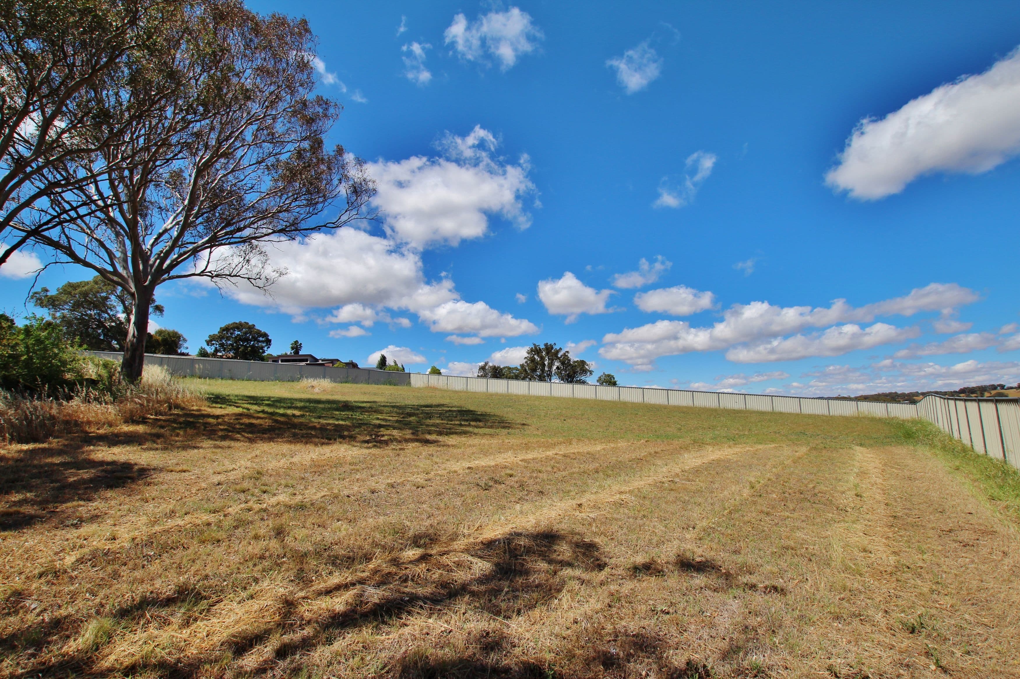 14 Henry Place, Young NSW 2594, Young - Thumbnail 3