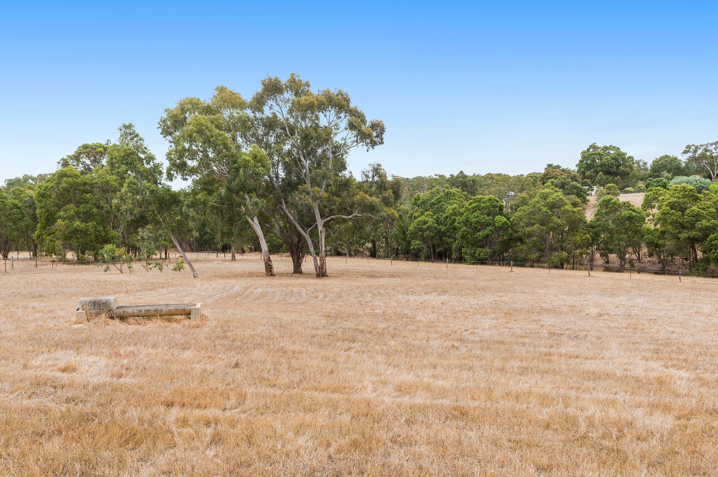 14 Tombs Court, Bullsbrook WA 6084, Bullsbrook - Thumbnail 7