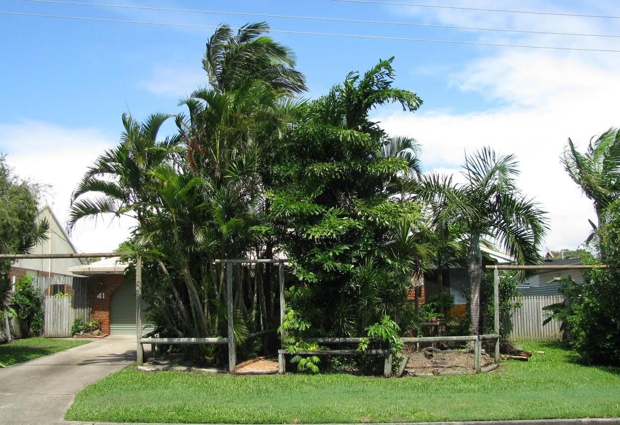 41 Currimundi Road, Currimundi QLD 4551, Currimundi - Image 1