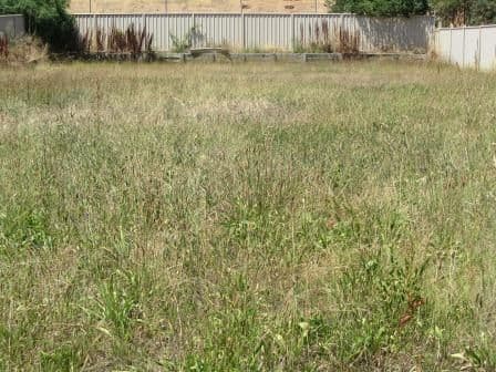 765 Centaur Road, LAVINGTON NSW 2641, Lavington - Thumbnail 3
