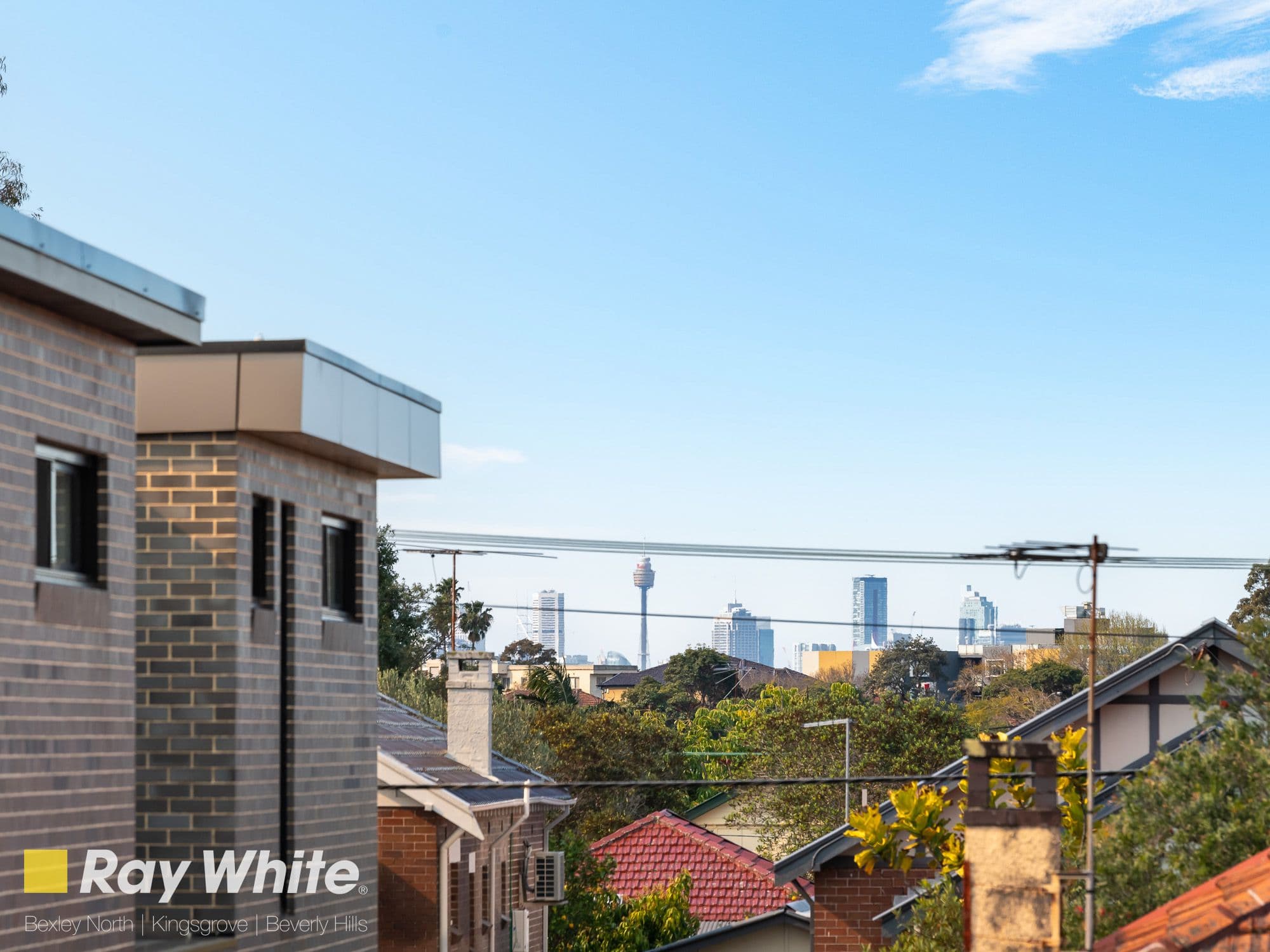 12 Shaw Avenue, Earlwood NSW 2206, Earlwood - Thumbnail 2