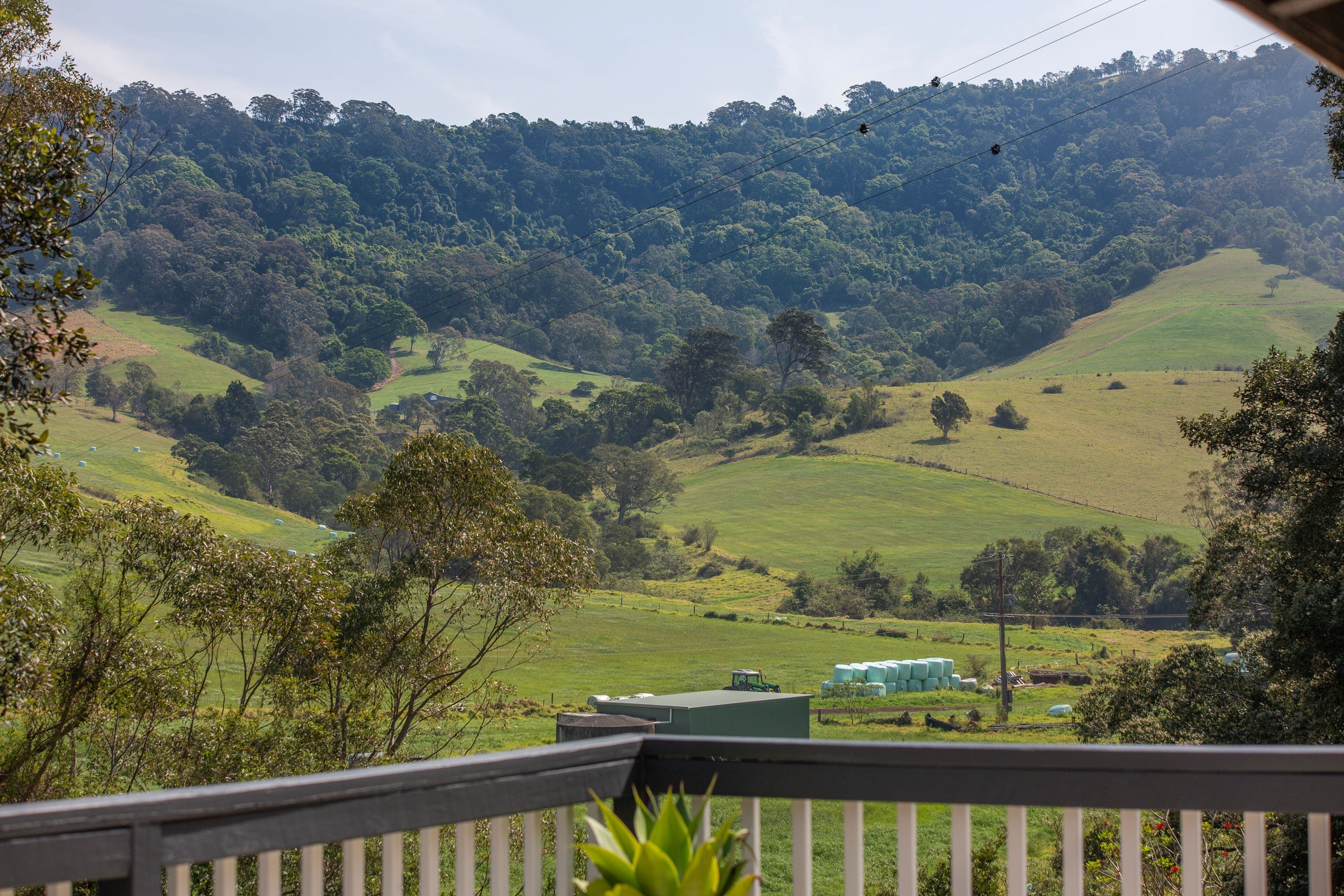 158 North Curramore Road, Jamberoo NSW 2533, Curramore - Thumbnail 3
