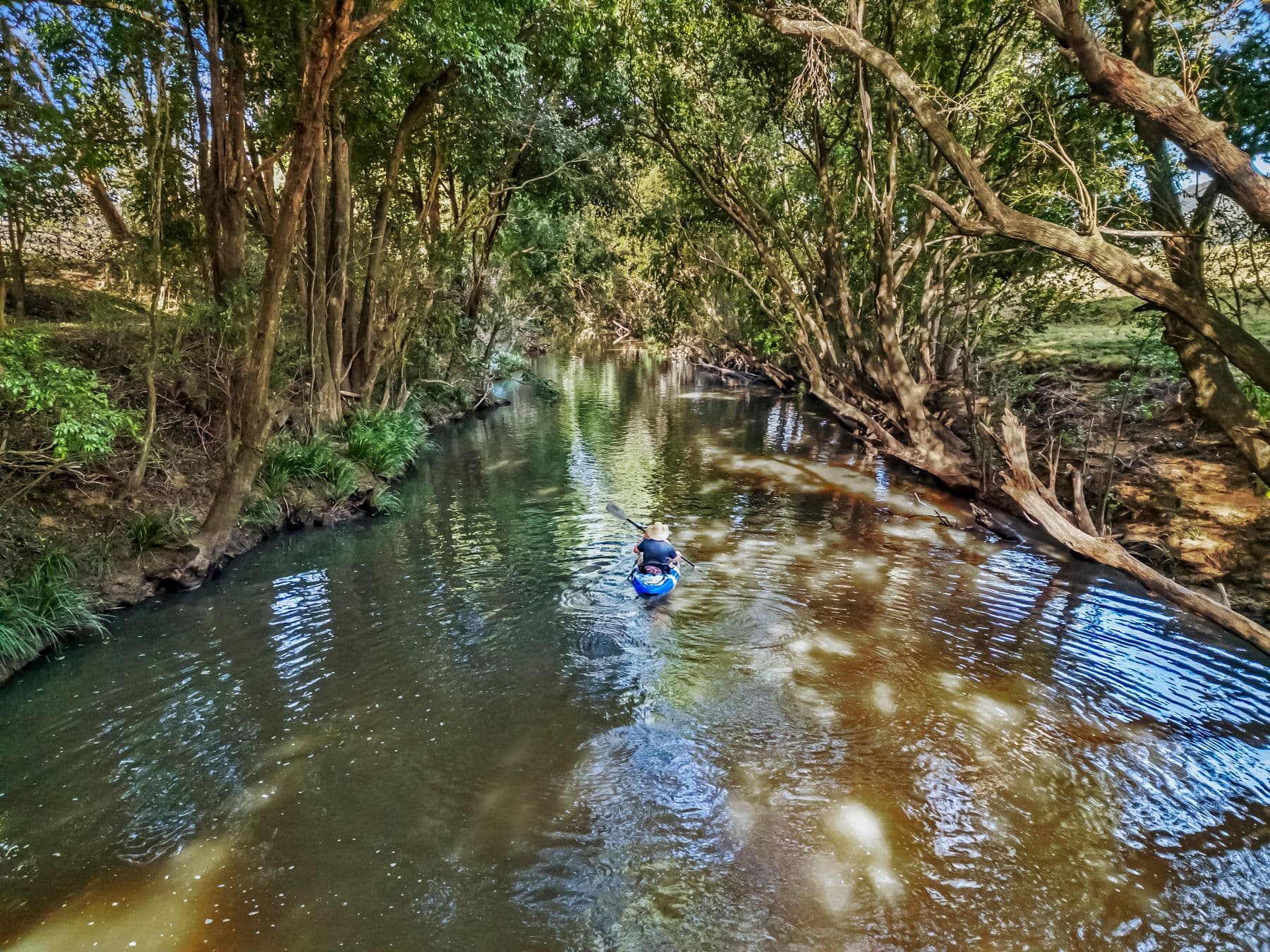 689 The Bucketts Way, Stroud Road NSW 2415, Stroud Road - Image 1