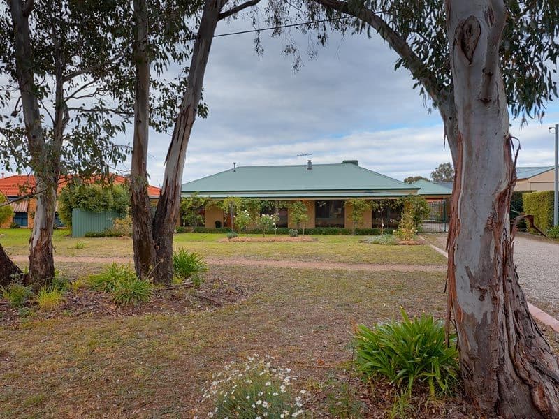 117 Watson Street, JINDERA NSW 2642, Jindera - Thumbnail 6