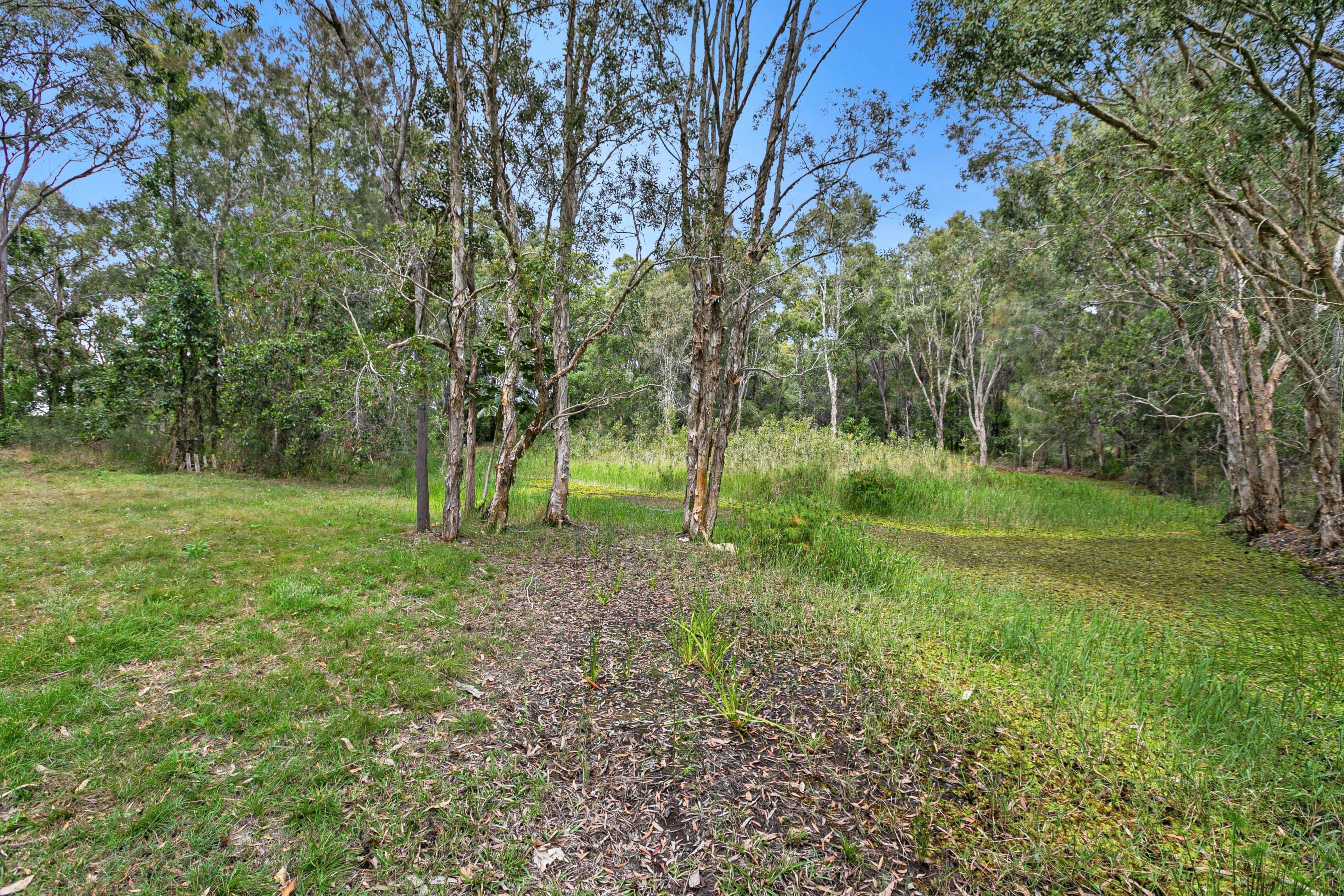 983 Pialba Burrum Heads Road, Craignish QLD 4655, Craignish - Thumbnail 7