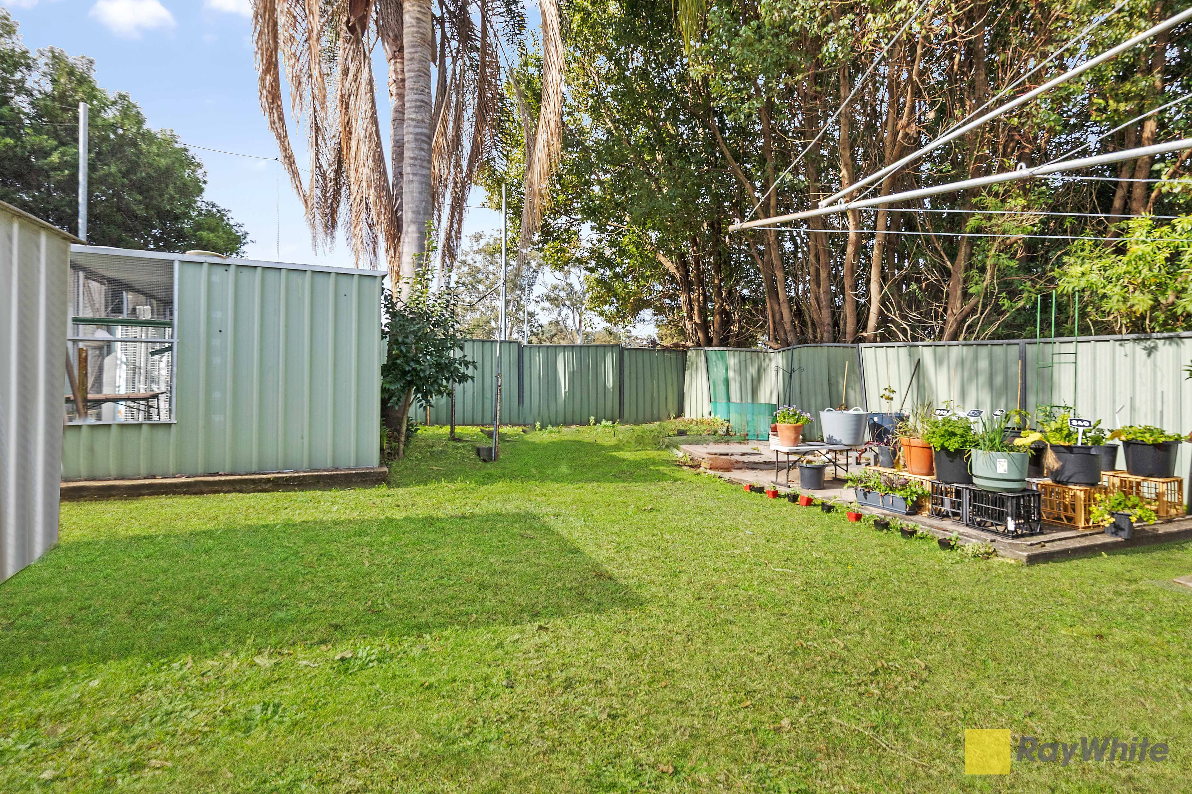 11 Cacia Avenue, Seven Hills NSW 2147, Seven Hills - Thumbnail 7
