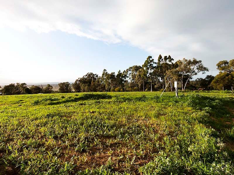 68 Horsfall  Road, BALDIVIS WA 6171, Baldivis - Thumbnail 6