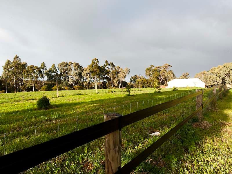 68 Horsfall  Road, BALDIVIS WA 6171, Baldivis - Thumbnail 7