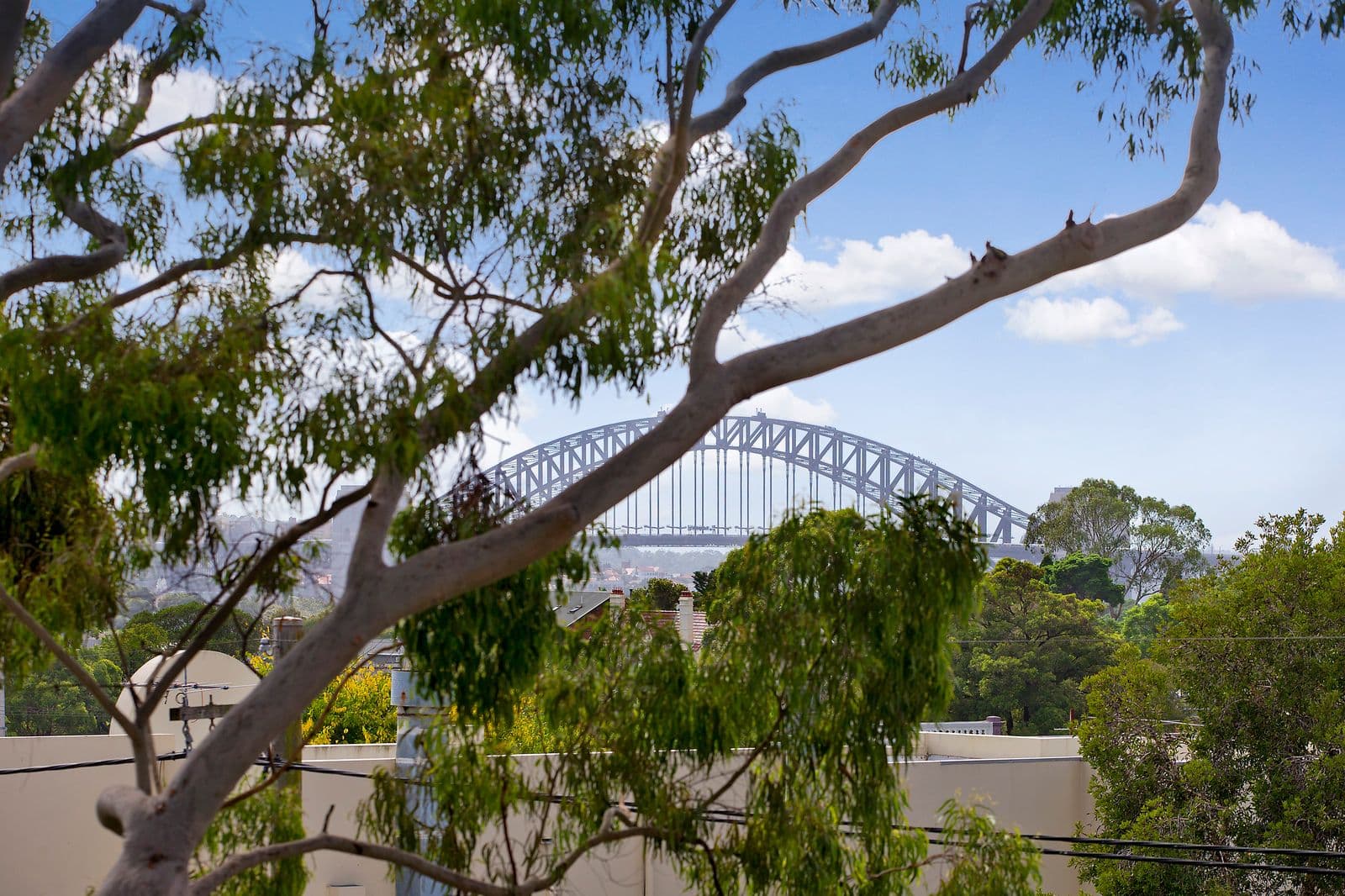 5 Llewellyn Street, Balmain NSW 2041, Balmain - Thumbnail 2