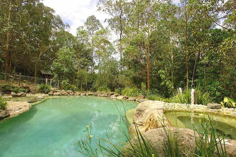78 Red Cedar Road, Pullenvale - Thumbnail 2
