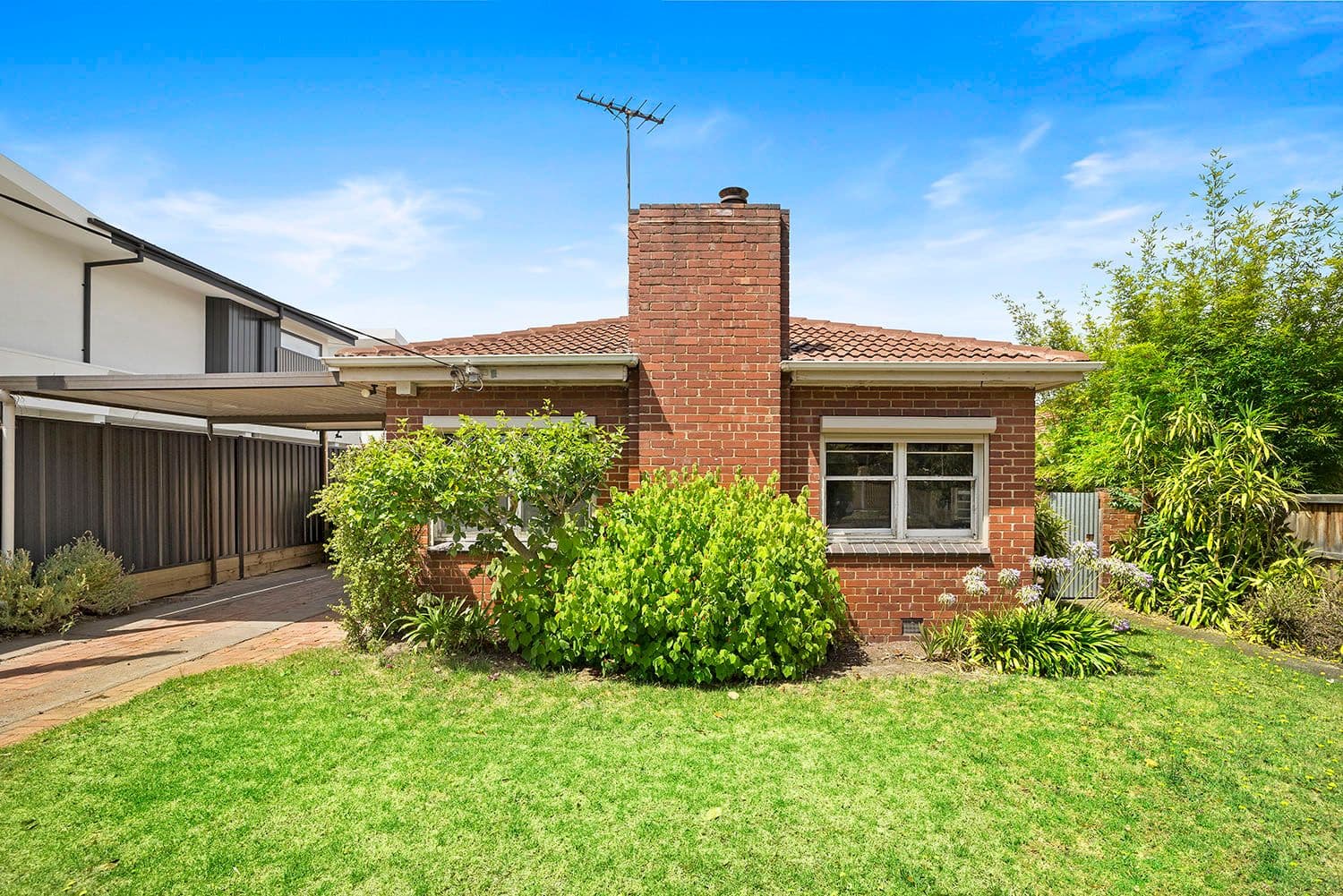 20 Carr Street, Brighton East VIC 3187, Brighton East - Thumbnail 3