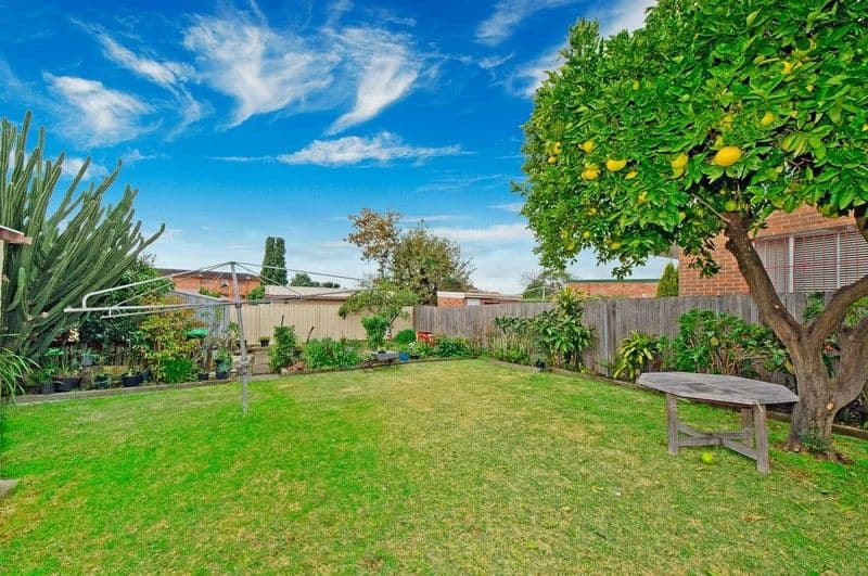 56 Wonga Street, Canterbury NSW 2162, Canterbury - Thumbnail 5