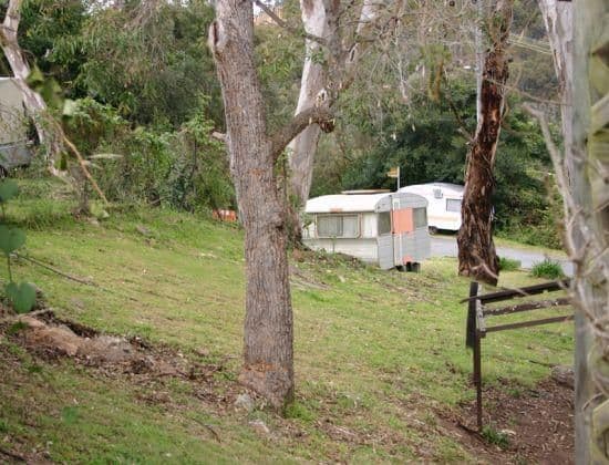 34 Cheero Point Road, Cheero Point NSW 2083, Cheero Point - Thumbnail 3
