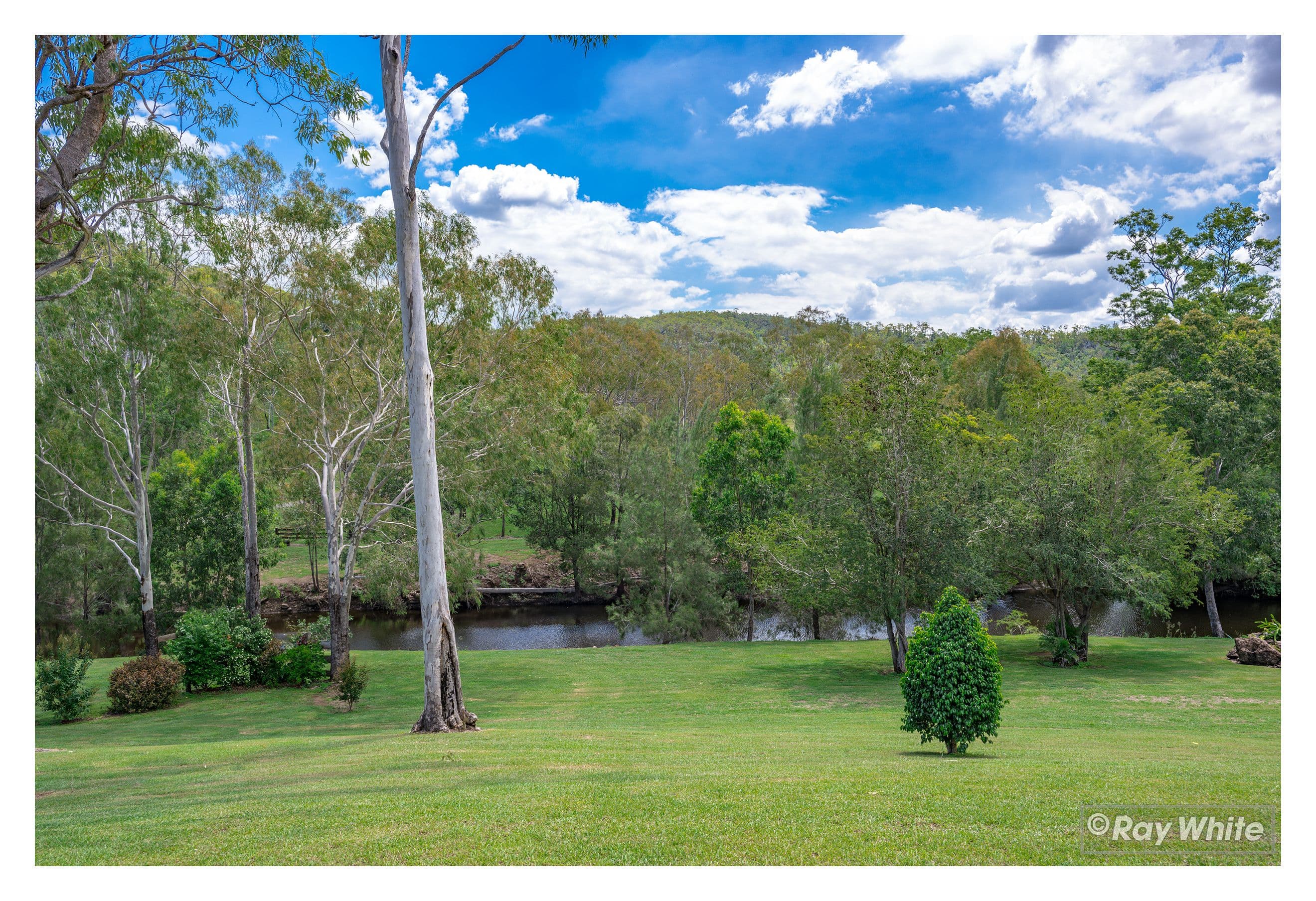 472 Benedict Road, Kalapa QLD 4702, Kalapa - Thumbnail 2