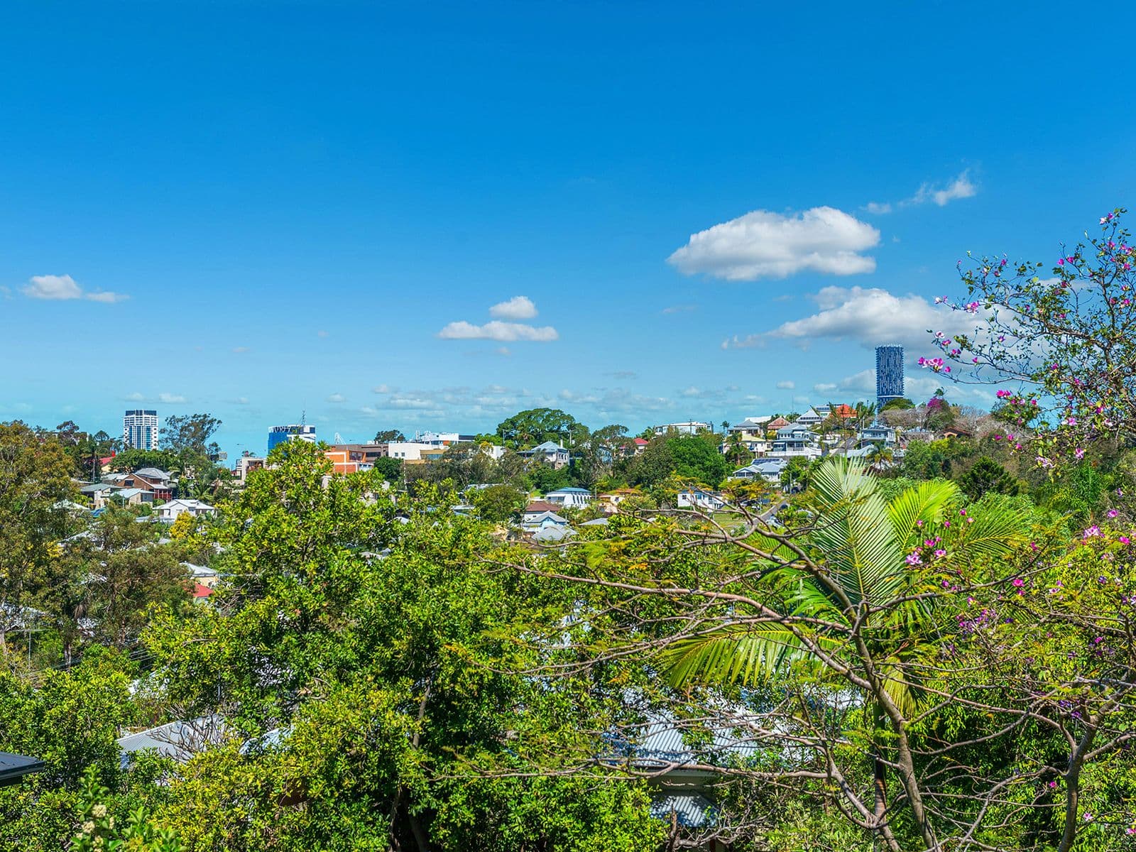 143 Windsor Road, Kelvin Grove QLD 4059, Kelvin Grove - Thumbnail 4