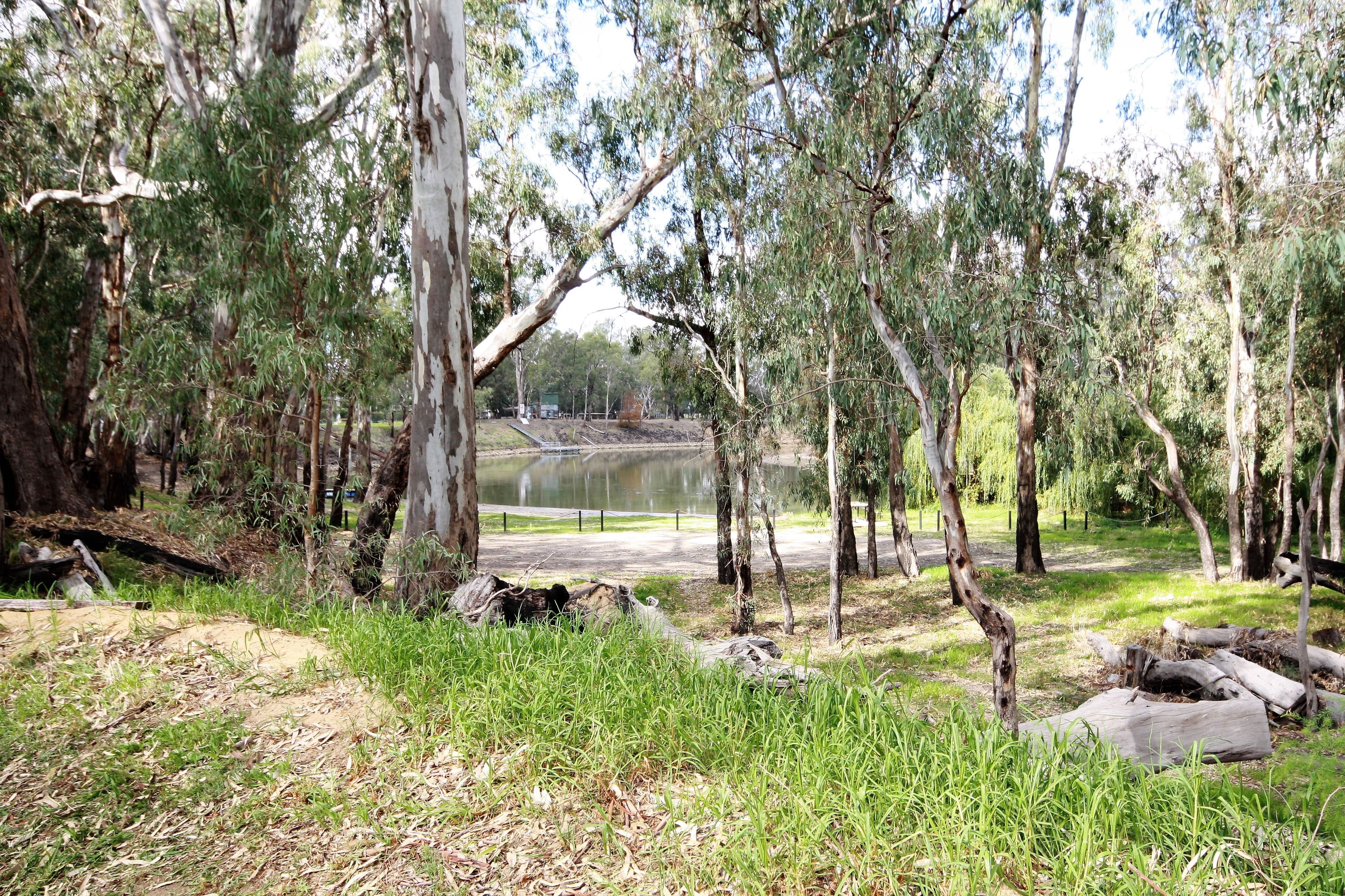 25 Murray Street, Barmah VIC 3639, Barmah - Thumbnail 7