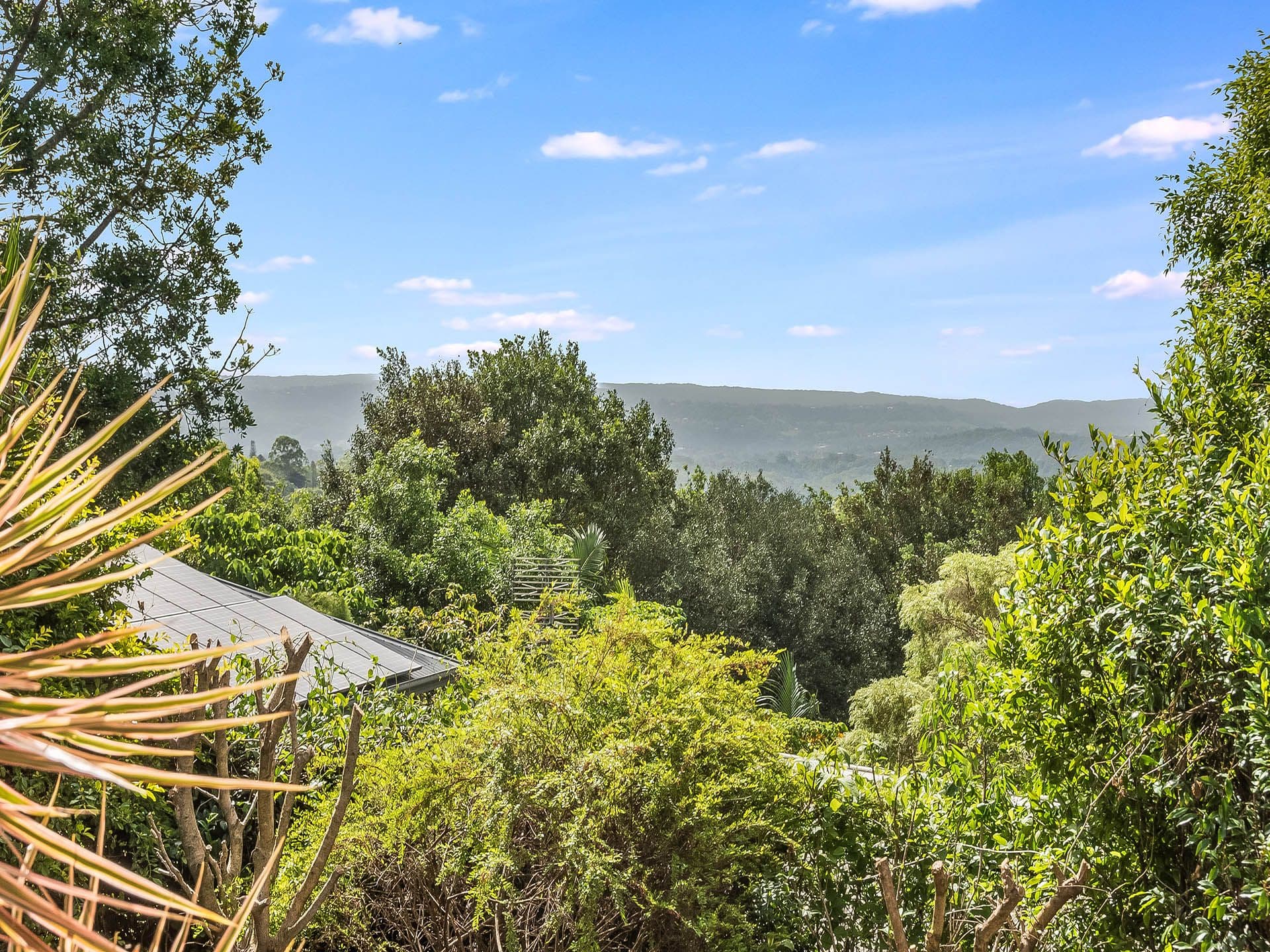 54 Townsend Road, Buderim QLD 4556, Buderim - Thumbnail 2