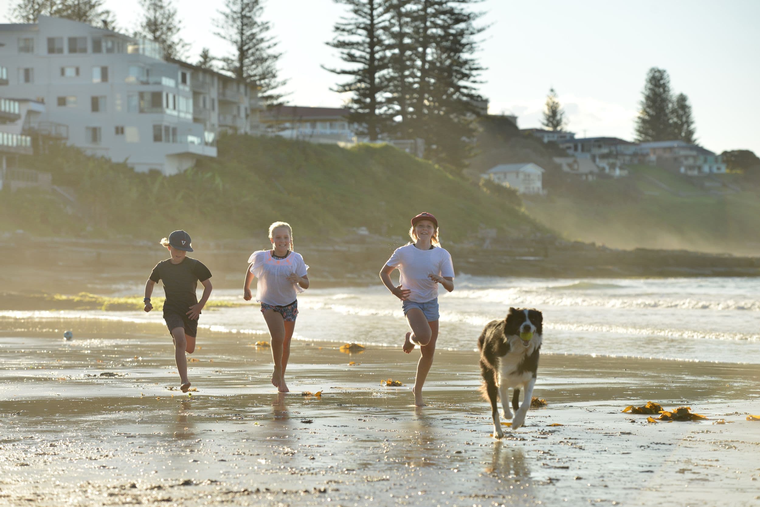 34 Yamba Street, Yamba NSW 2464, Yamba - Thumbnail 4