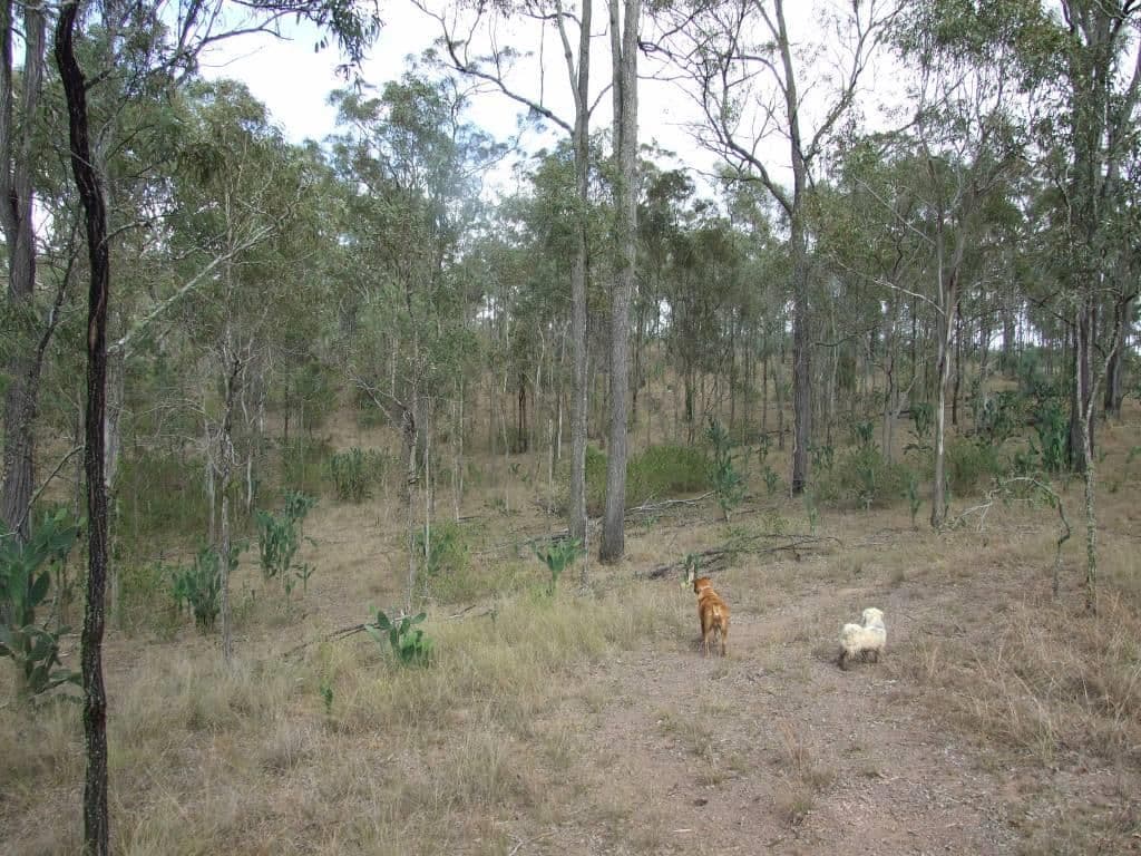 Lot 5 Back Creek Road, COOYAR QLD 4402, Cooyar - Thumbnail 2