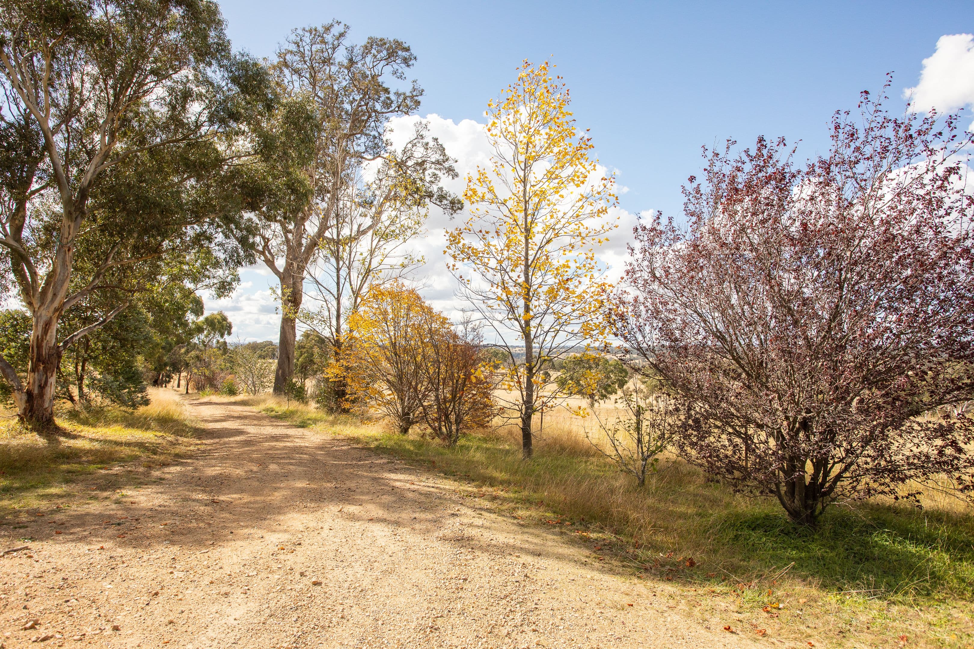 346 Castledoyle Road, Armidale NSW 2350, Armidale - Thumbnail 3