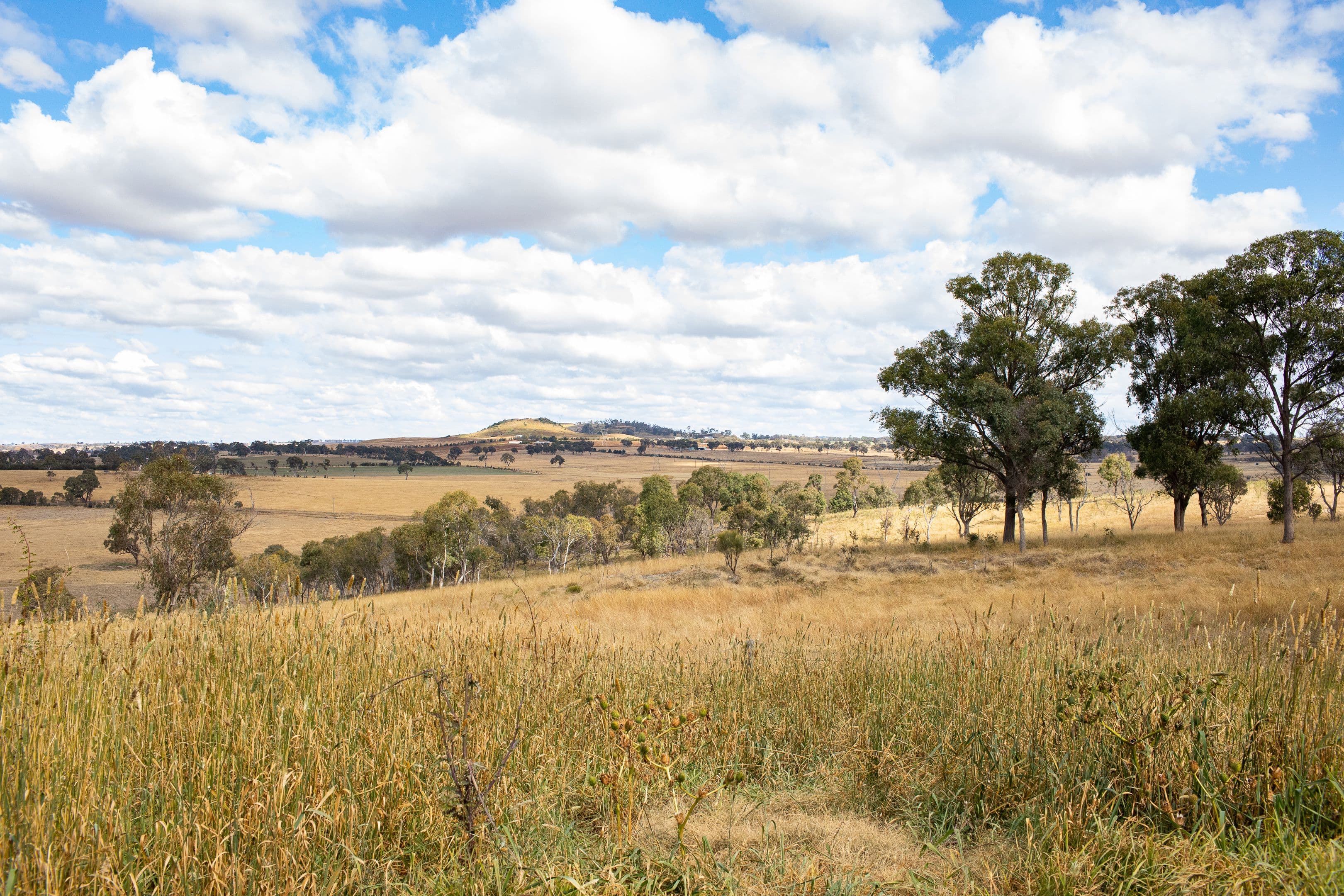 346 Castledoyle Road, Armidale NSW 2350, Armidale - Thumbnail 4