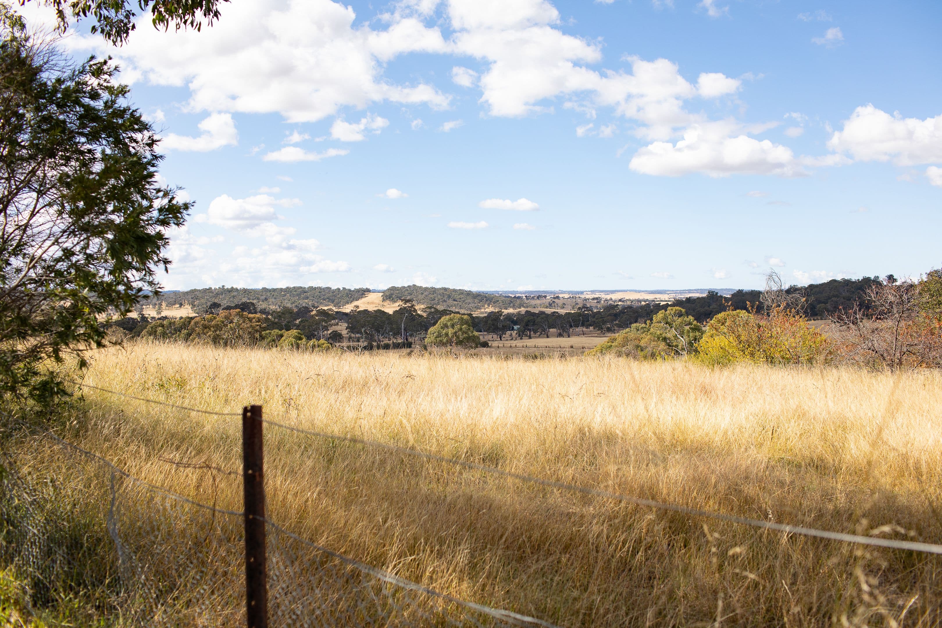 346 Castledoyle Road, Armidale NSW 2350, Armidale - Thumbnail 5